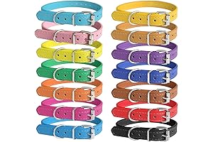 Outstanding Dog Litter Collars