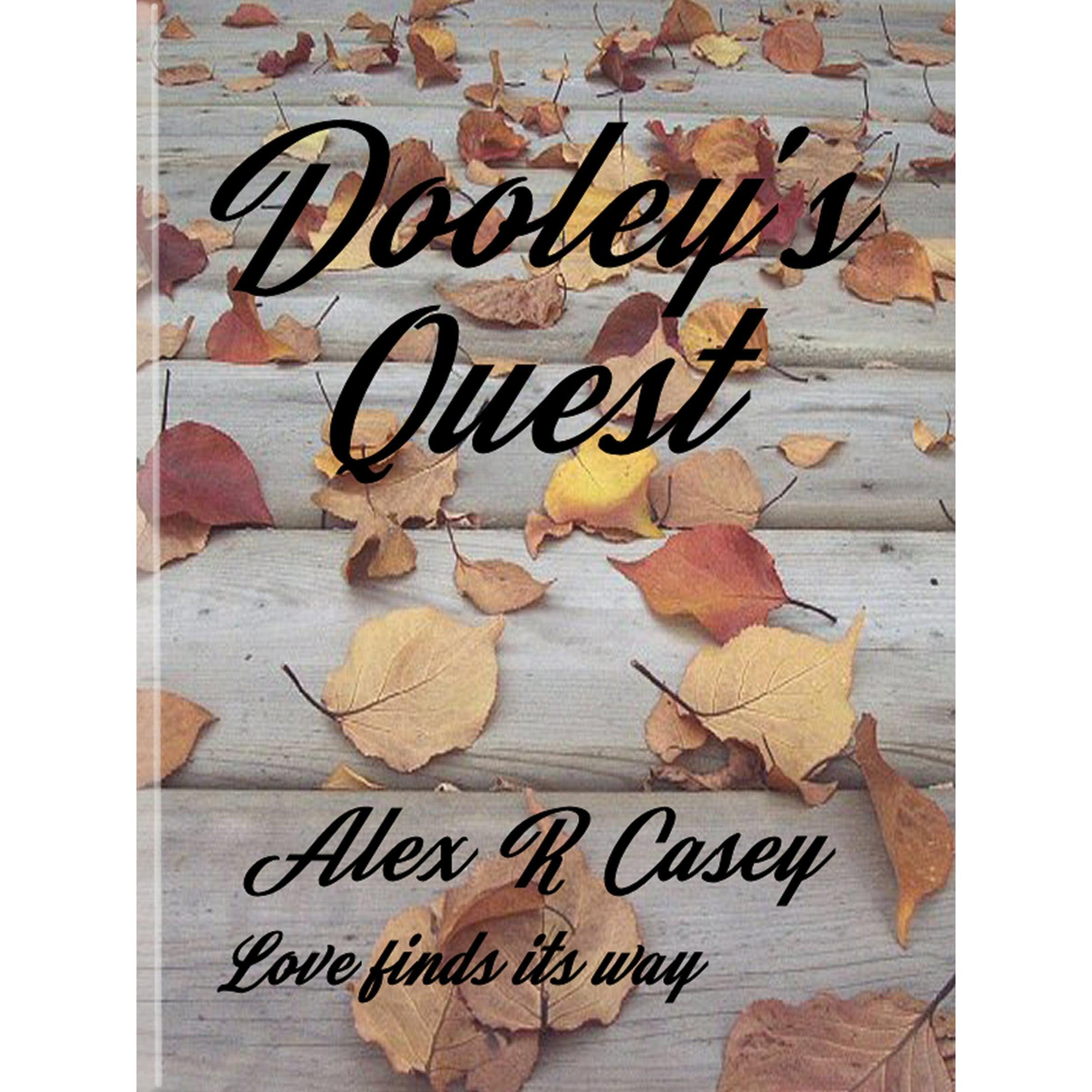 Dooley's Quest