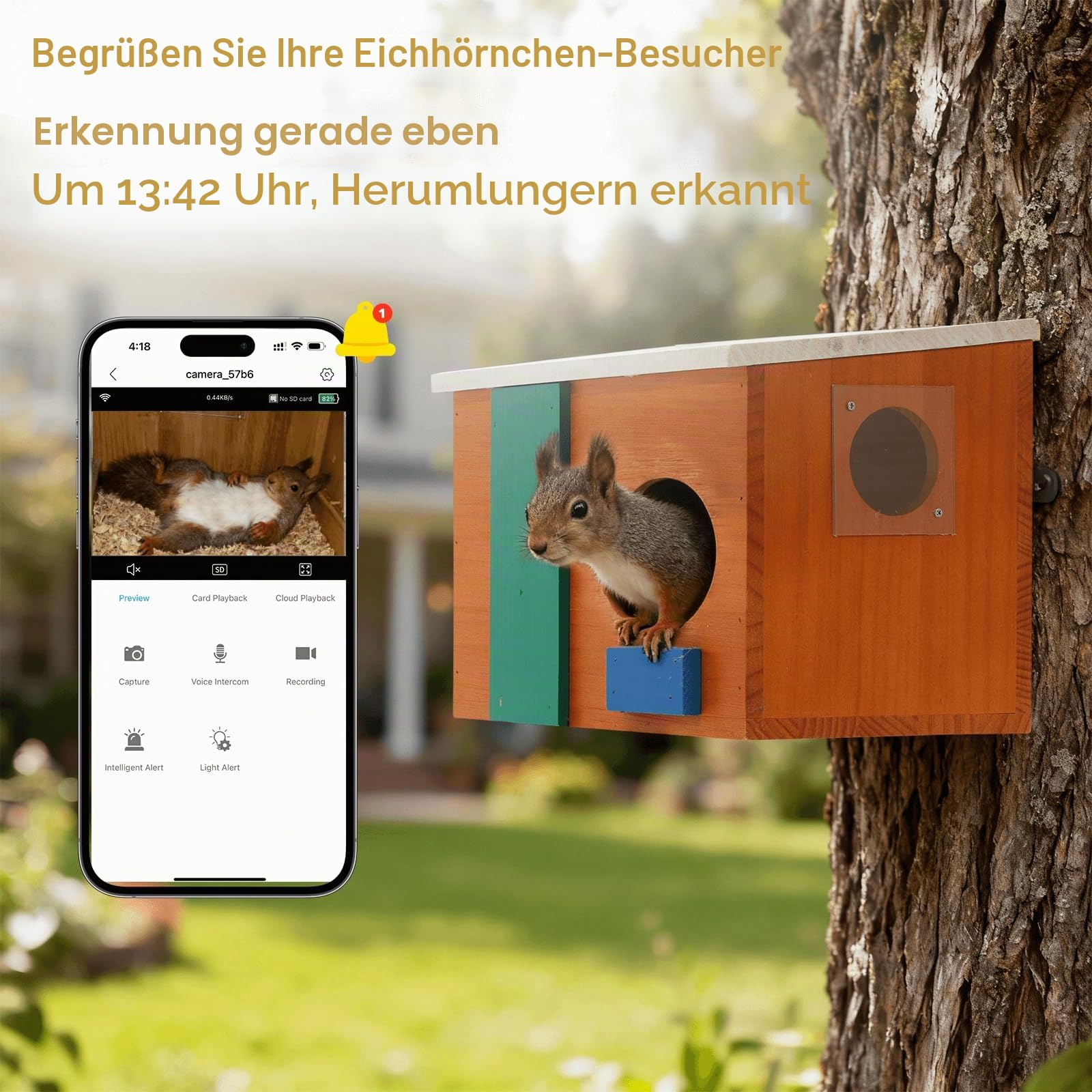 Eichhörnchenhaus mit Kamera Solarbetrieben - Eichhörnchenhäuser für Außen Nistkasten Eichhörnchen Nistkasten Eichhörnchen Boxen für Draußen für Garten für 2,4g WiFi-Abdeckung