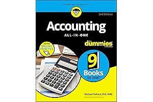 Accounting All-in-One for Dummies (with Videos & Quizzes Online)