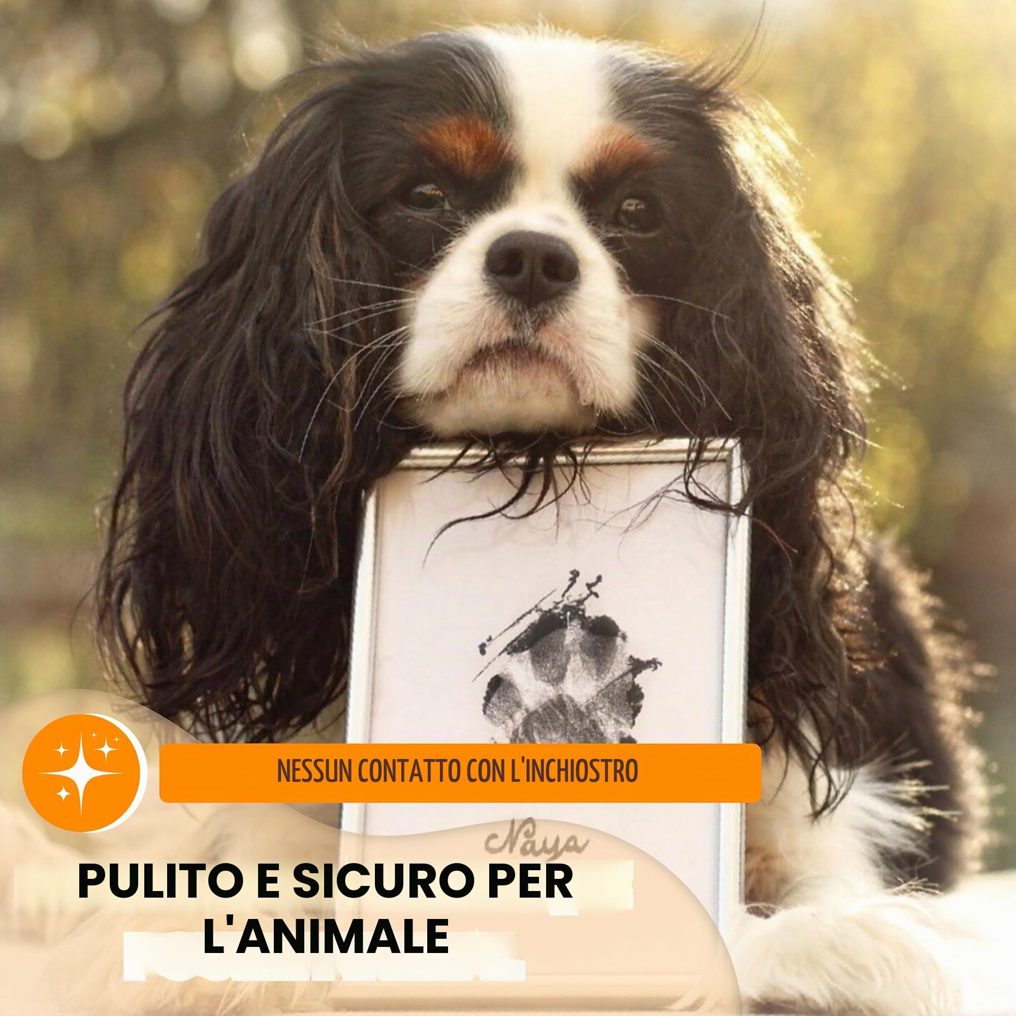 com - Kit per impronte di cane e gatto, per conservare un ricordo, realizzare un tatuaggio o una cornice, Misura grande, Dimensioni: 12,5 x 8 cm