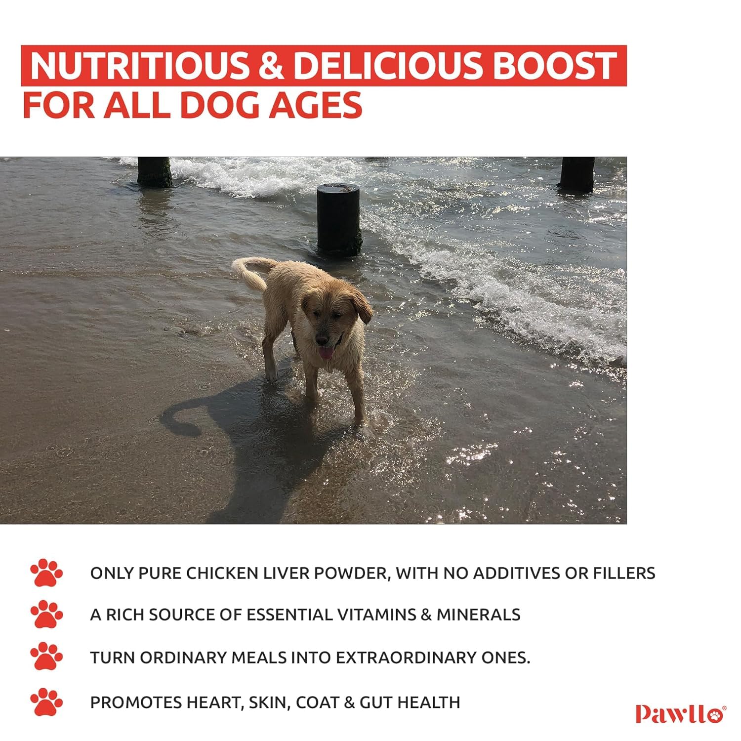Pawllo 50GM- Pack 1 | Chicken Liver Meal Topper for Dogs & Cats | Natural Pet Supplement | Multivitamin Rich | Supports Joint, Gut, Skin & Heart Health | All Breeds & Life Stages | High Protein Powder 3