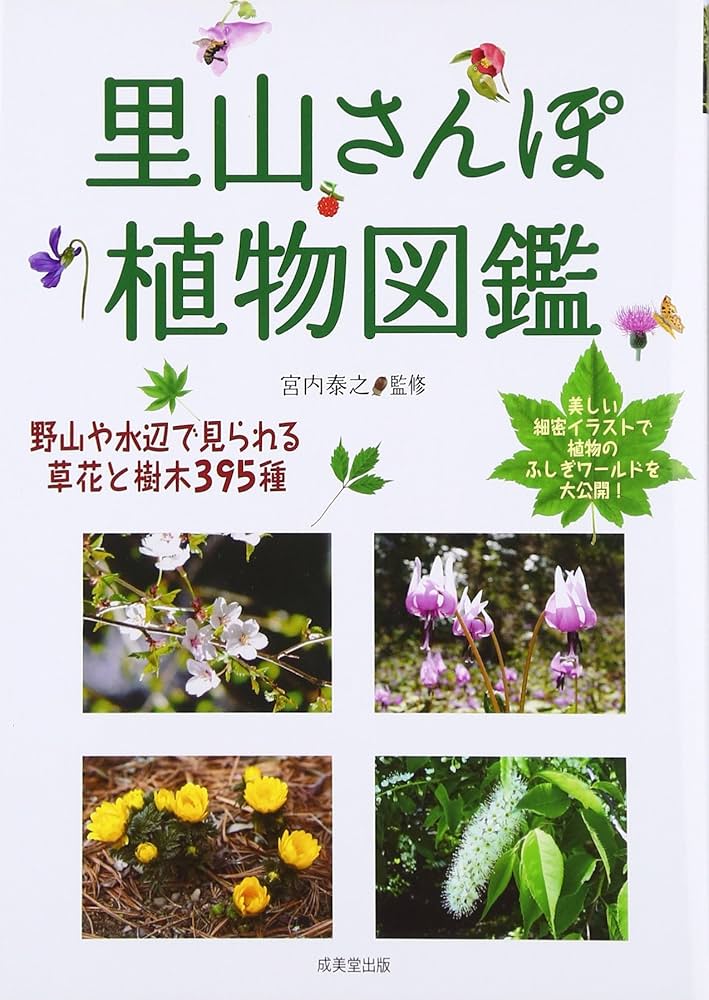セール！ 洋書『ベネズエラの山岳植物、アンデスとテプイ、ブロメリア』植物図鑑 セール！ 洋書『ベネズエラの山岳植物、アンデスとテプイ