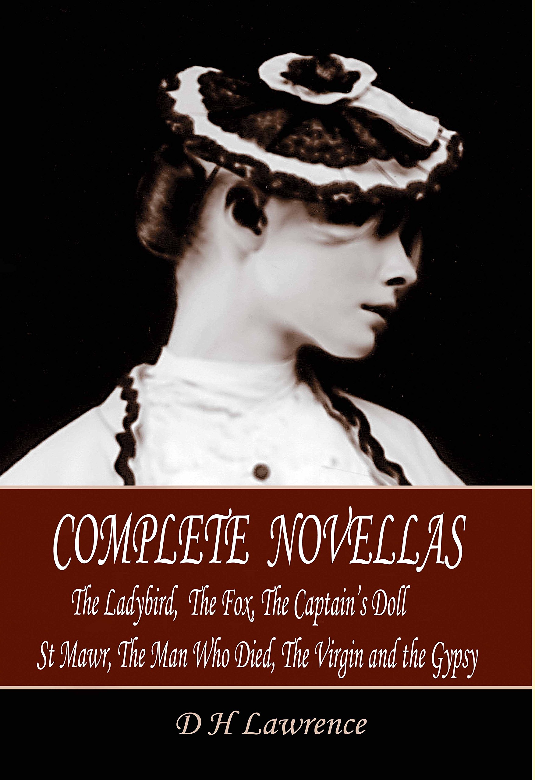 D H Lawrence Complete Novellas: The Ladybird, the Fox, the Captain's Doll, St Mawr, the Man Who Died, the Virgin and the Gypsy