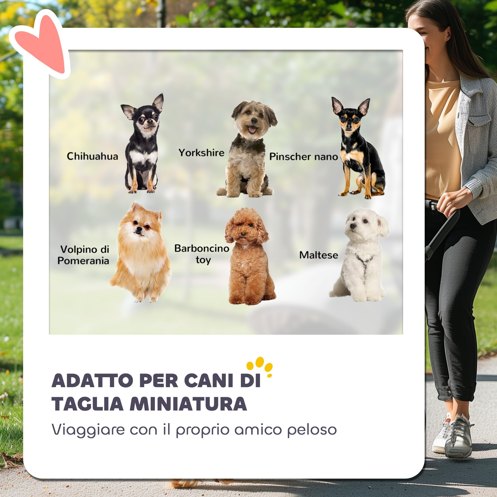 PawHut Cochecito plegable para perros pequeños con correas, bolsa portaobjetos y portavasos, cochecito para mascotas con ventanas de malla, 76 x 44 x 103 cm, negro y gris claro