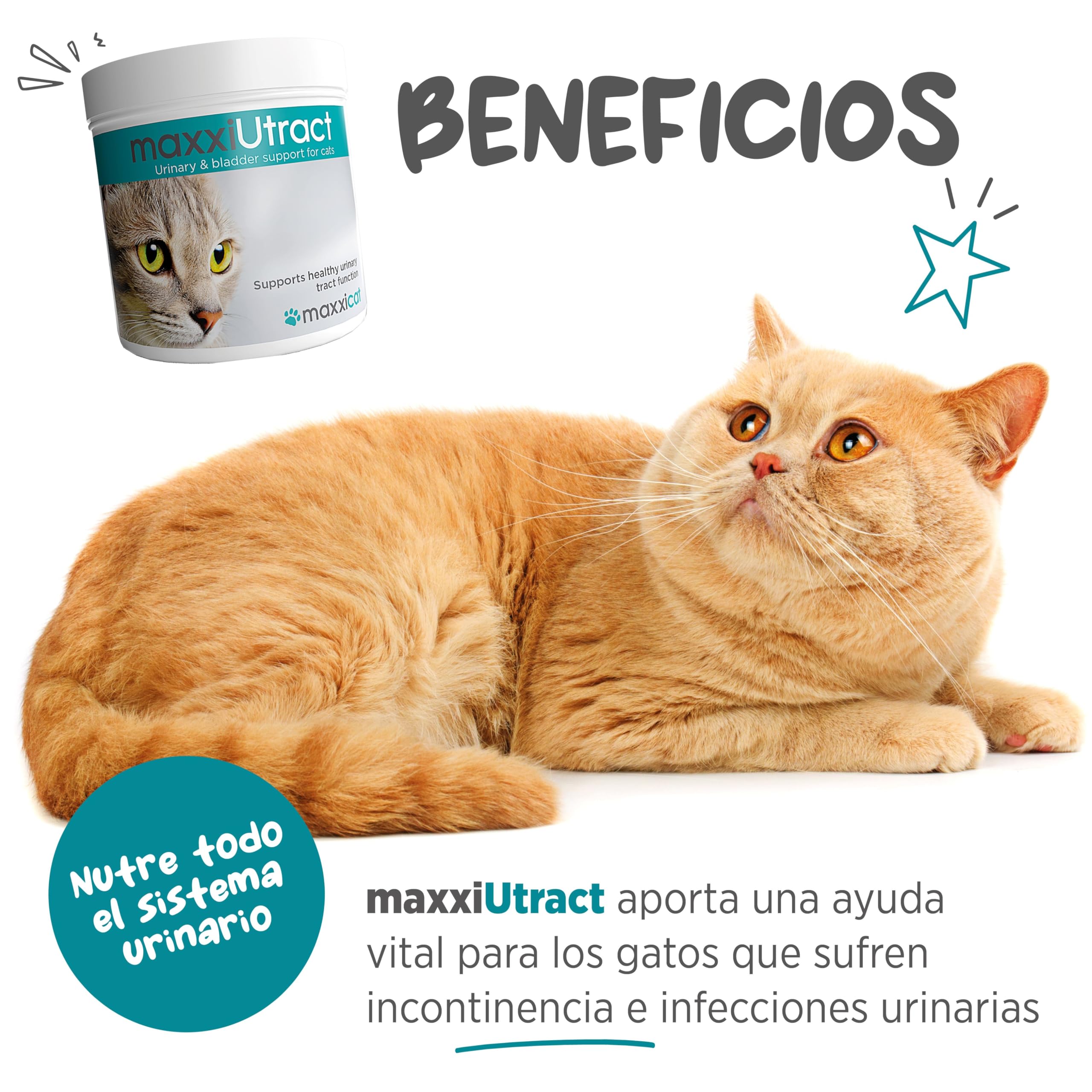 maxxipaws maxxiUtract Apoyo Urinario y de la Vejiga para Gatos - Suplemento en Polvo, 90g