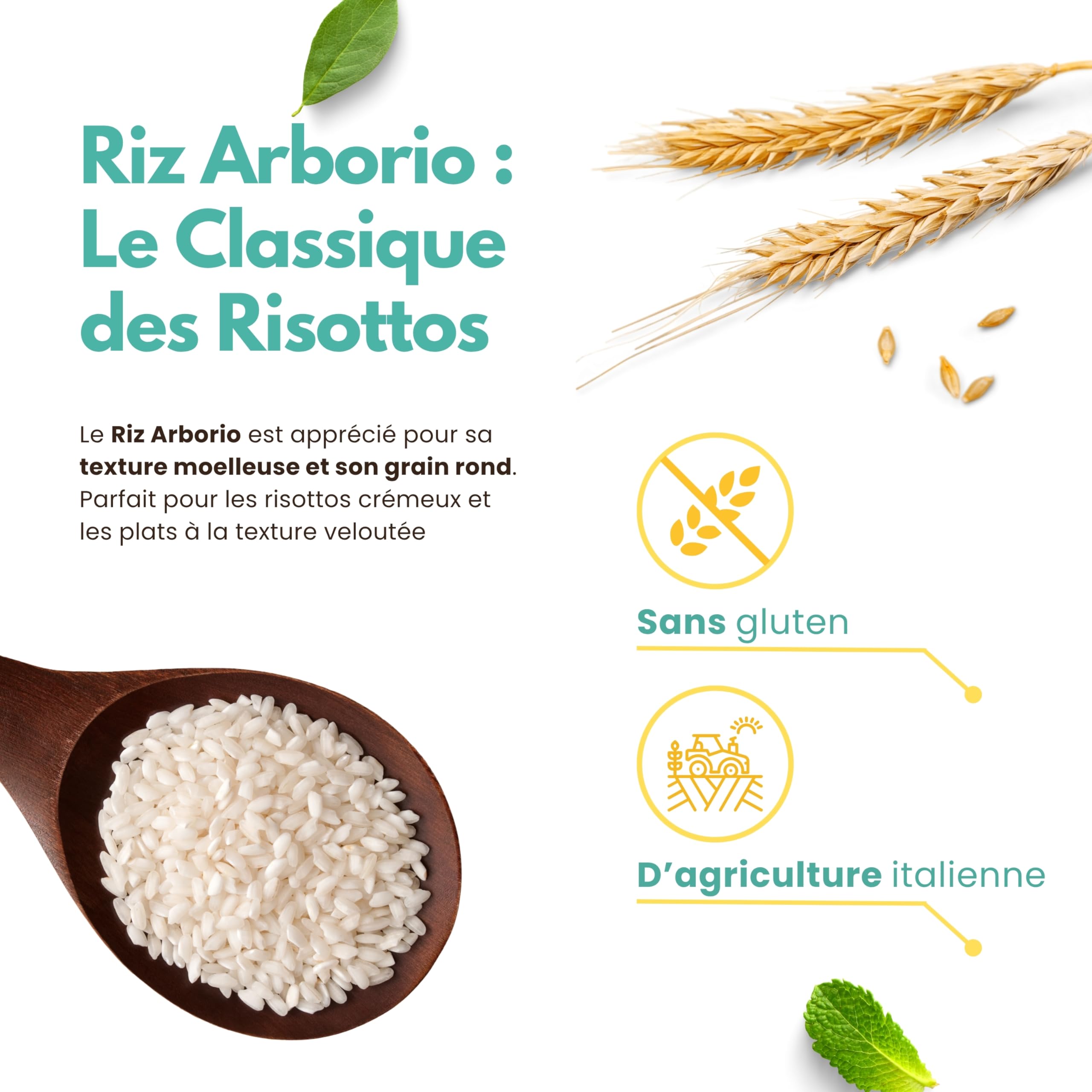 Riz Arborio Italien 2 kg – Spécial Risottos, Arancini et Soupes – Grains Fermes et Crémeux – Sans Gluten – Made in Italy - 13 di Ilaria