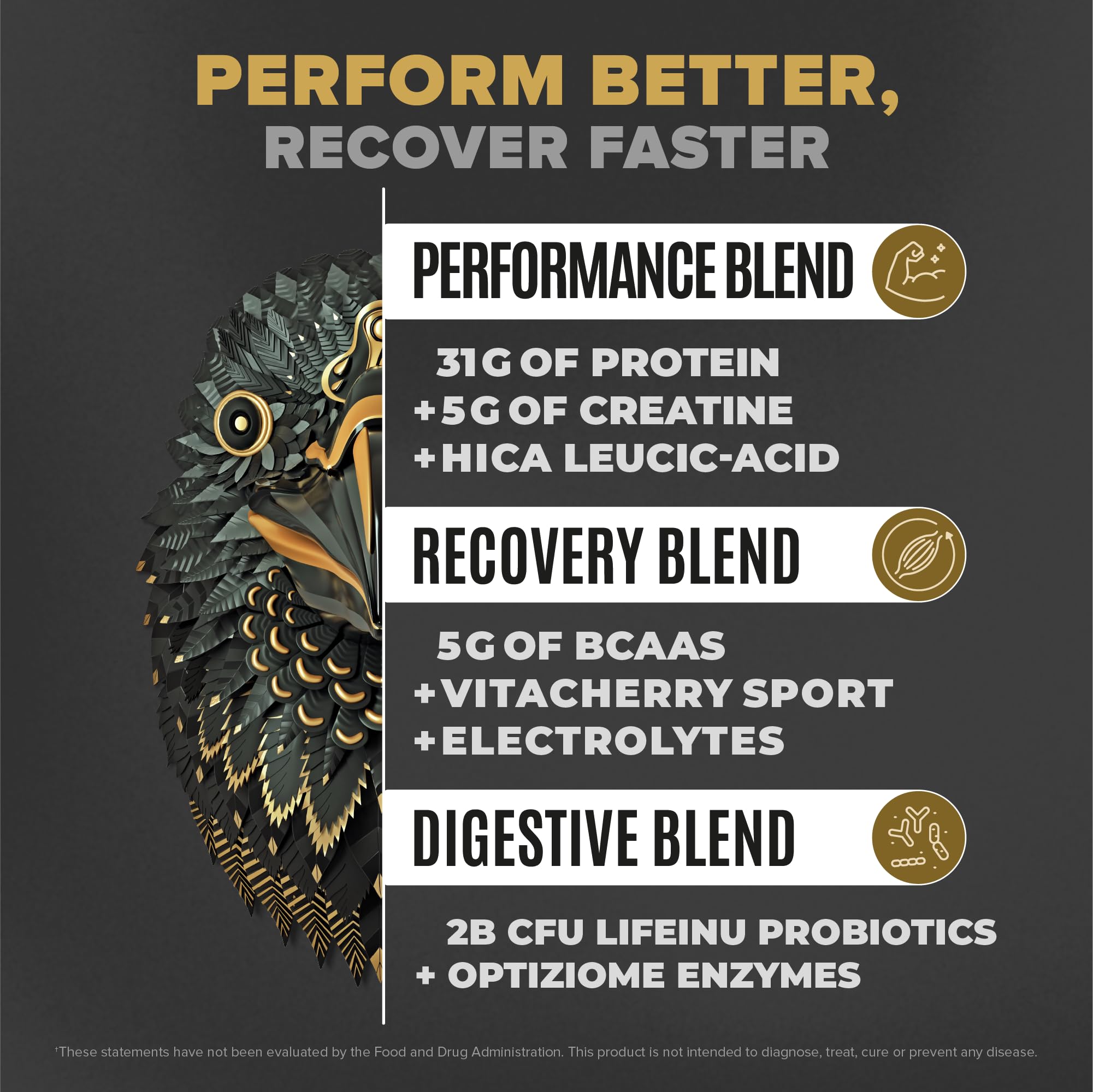 Falcon Performance Vegan Protein Powder, 31g Protein, 5g