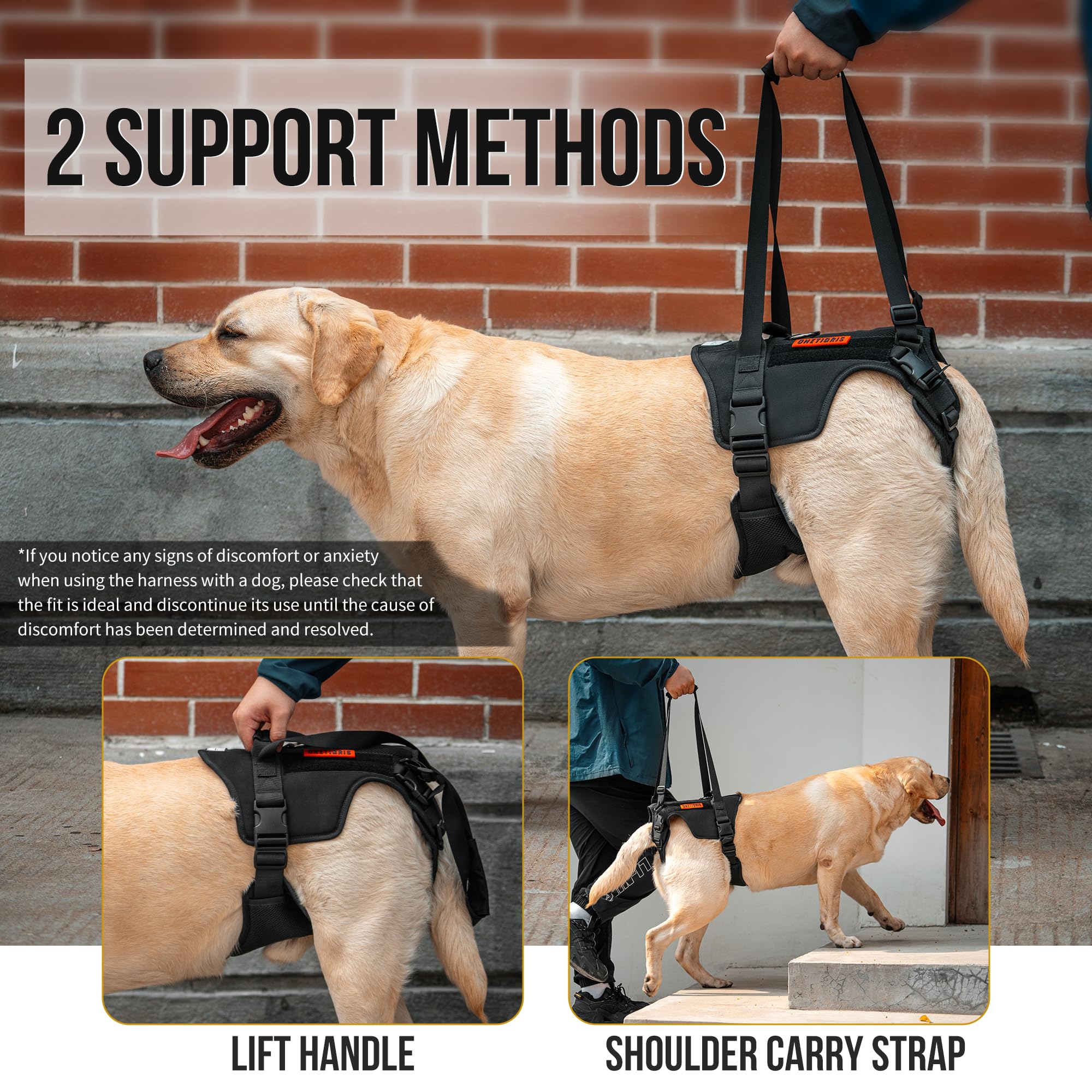 OneTigris Dog Lift Harness for Large Dogs, OneTigris Dog Sling for Large Dogs Hind Legs, Dog Support Harness Dog Back Legs Lifting Vest with Handles Dog Hip Support Brace VICTUS Support Harness (M) - Image 3