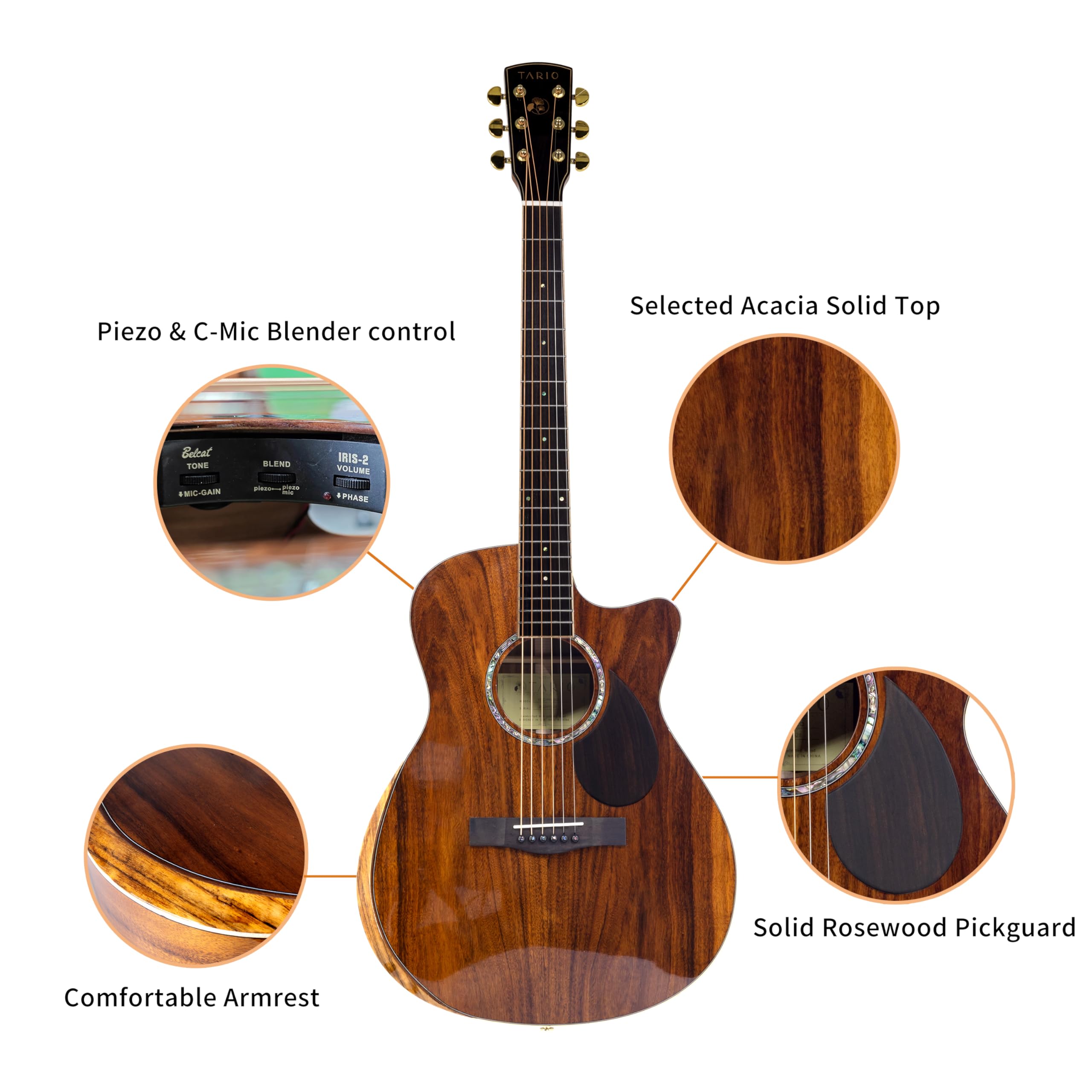 アコギ tayste Travel Sized Guitar TAYSTE 30 Inch Guitarlele With Spruce
