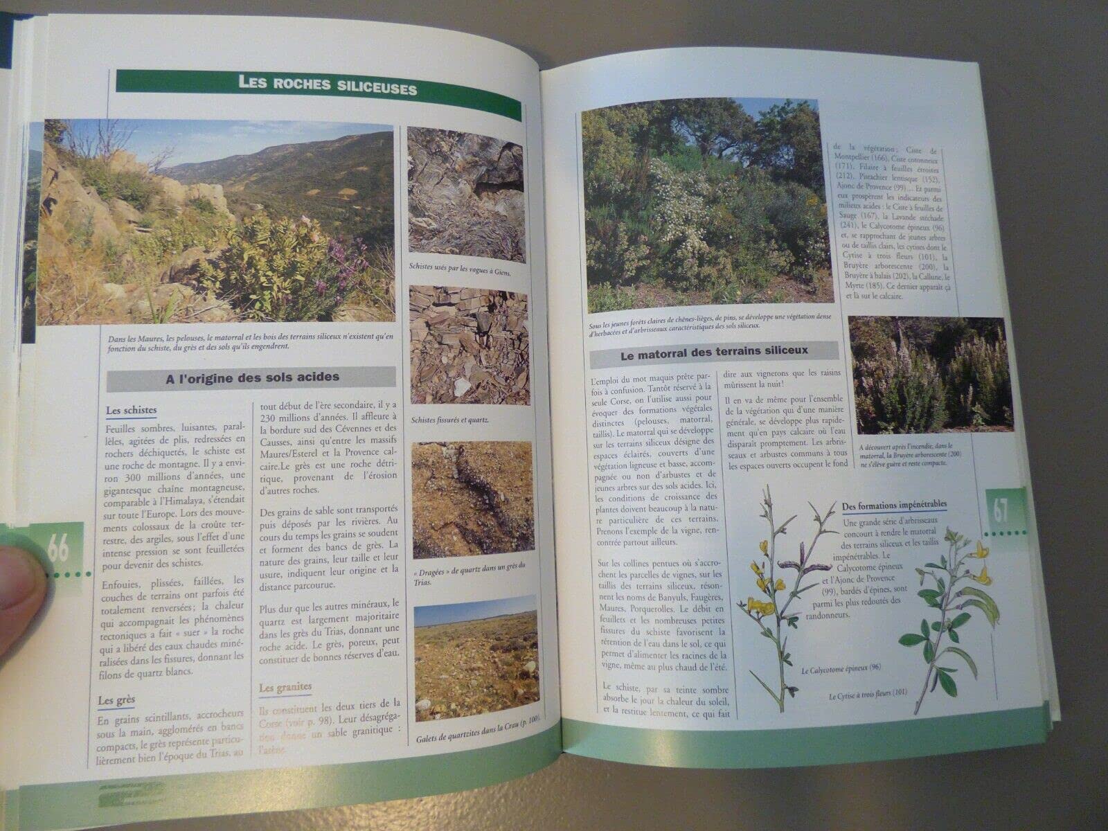 La Nature Méditerranéenne en France
