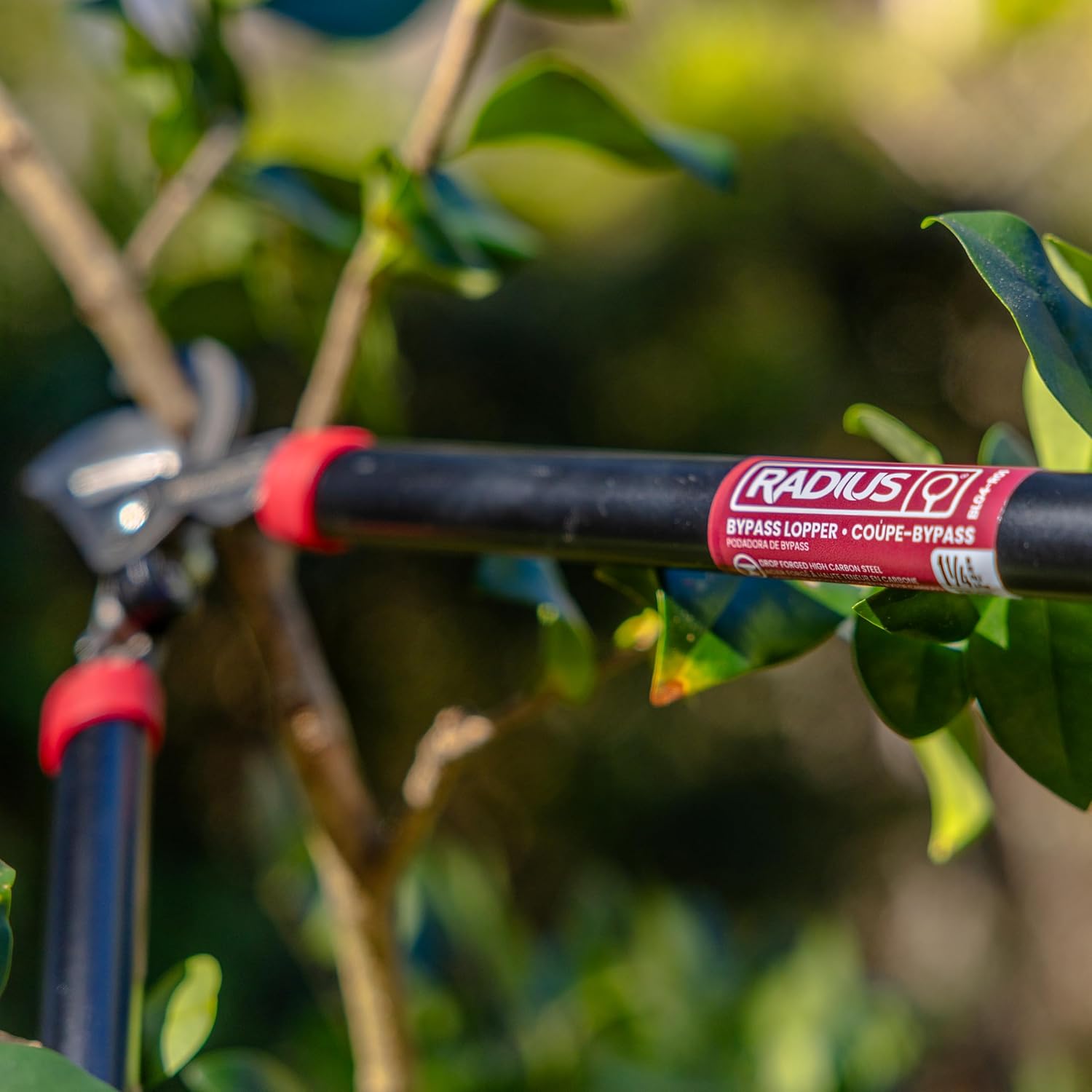 Radius Garden 27'' Forged Bypass Lopper – Durable, Precision Blades for Effortless Cutting