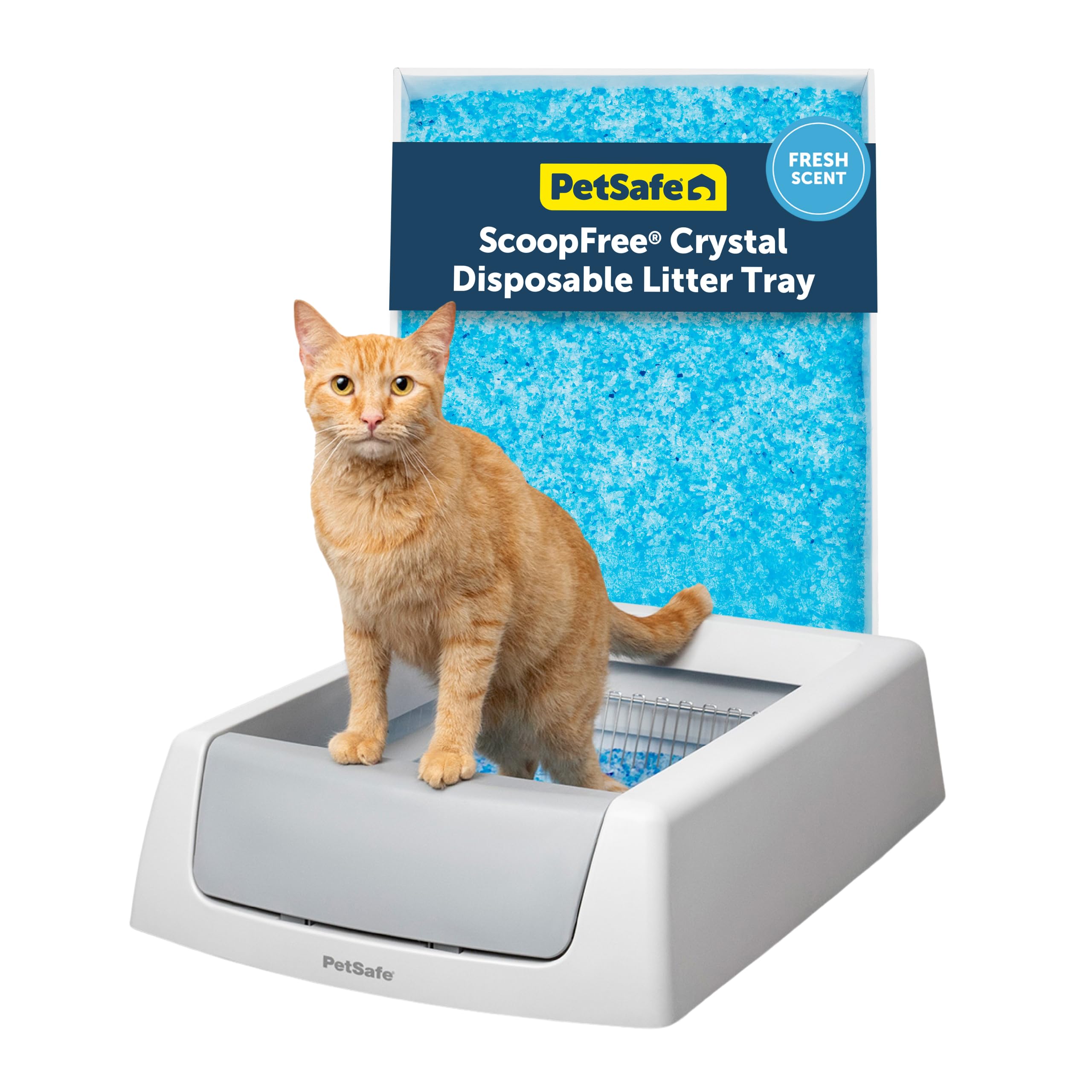 PetSafe ScoopFree Crystal Classic Self-Cleaning Litter Box System – Automatic Cat Litter Box - Advanced Odor Control – Includes Disposable Crystal Litter Tray (PAL00-17296)