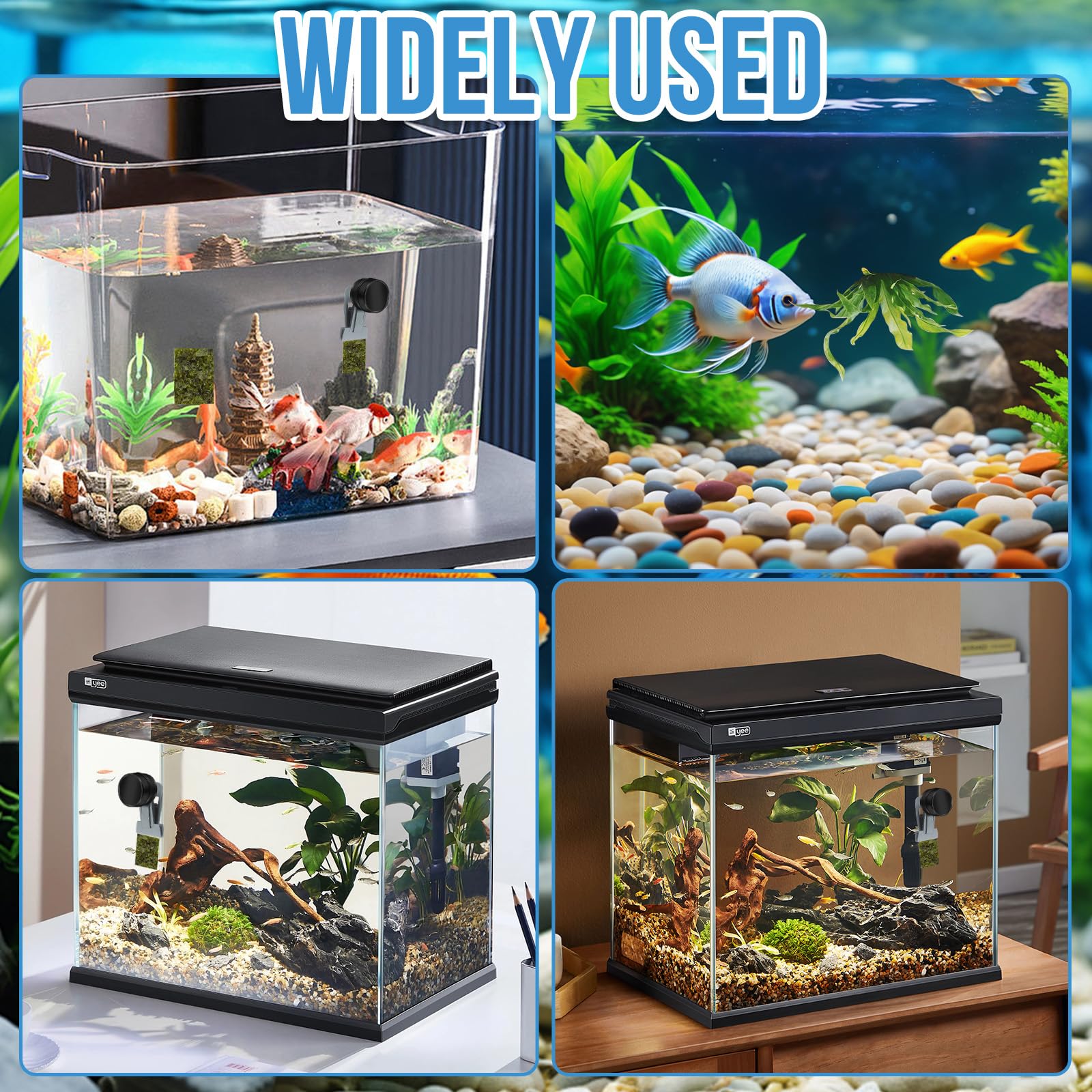Mangiatoia per pesci rossi, accessori per acquari marini, magnete per alghe, mangiatoia per alghe marine, clip magnetiche, anello di alimentazione per acquari adatto per pesce animali acquatici