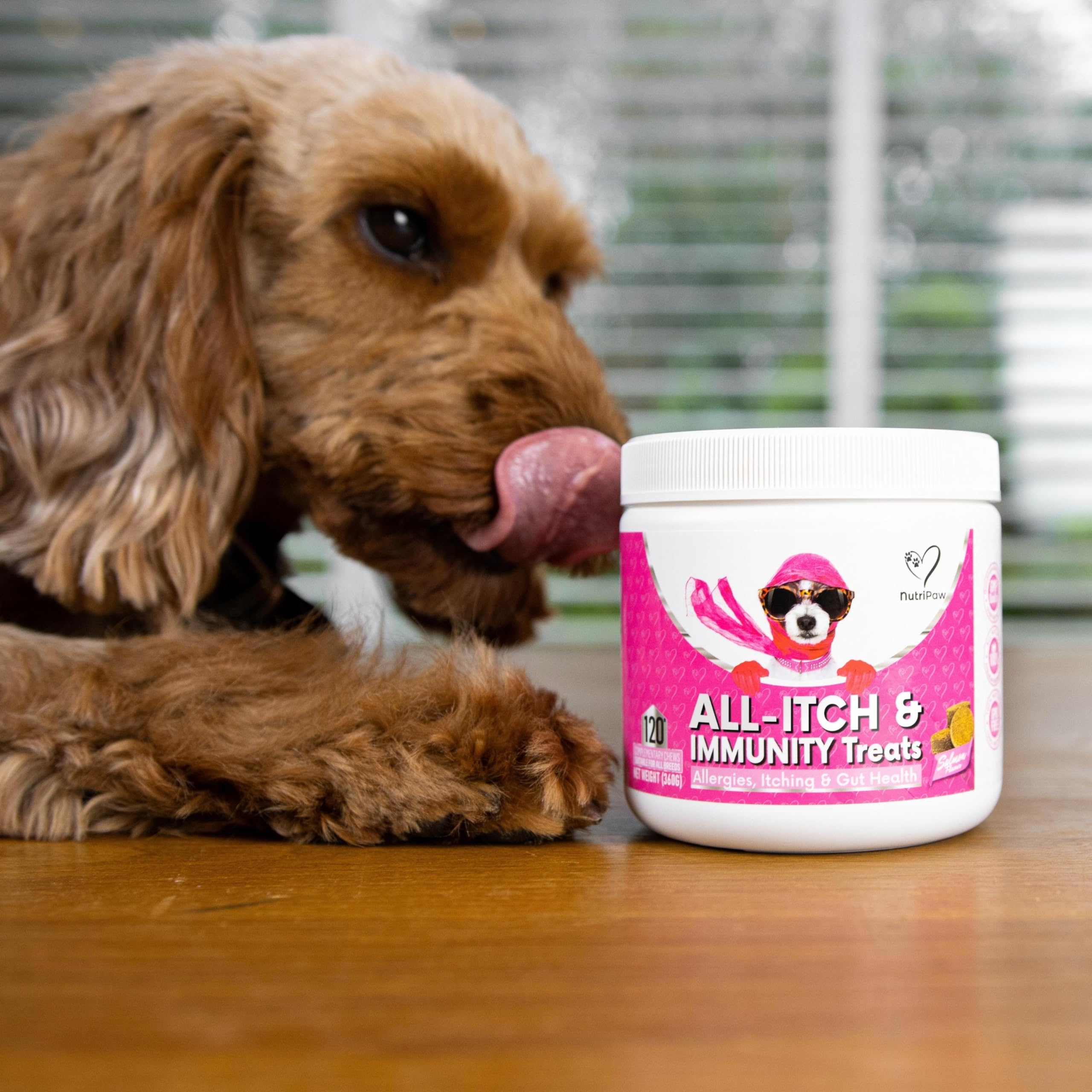 NutriPaw All-Itch Immunitäts-Leckerlis für Hunde - Beruhigt juckende Pfoten, Augen, Ohren, Haut - Beendet Jucken, Lecken, Kratzen - Perfekt für alle Hunde - Unterstützt saisonales Jucken