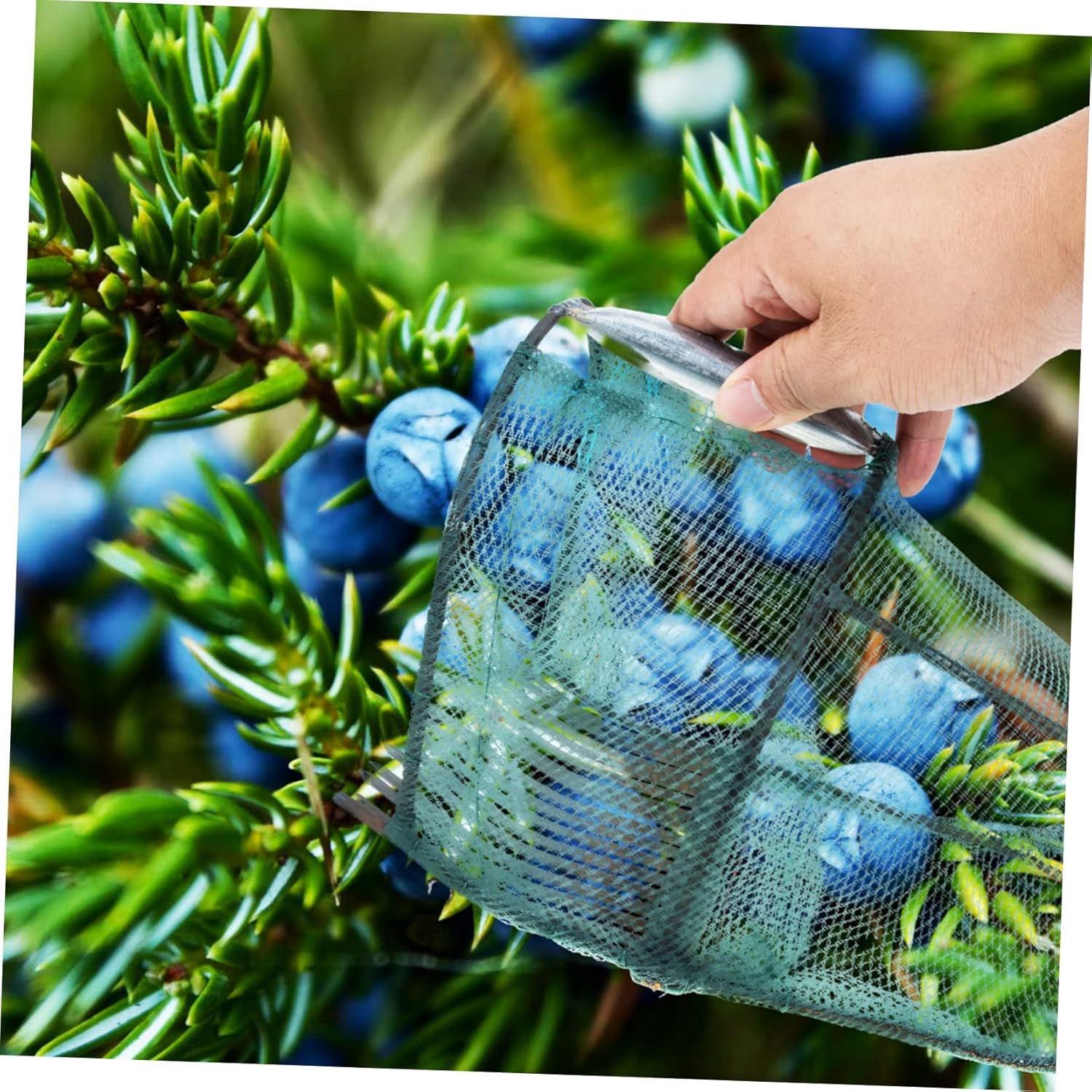 Blueberry Picker Tool Steel Teeth Efficient Rake Comb Design for Easy Harvesting of Fruits Orchards and Gardens Garden Tool for Fruit Collecting