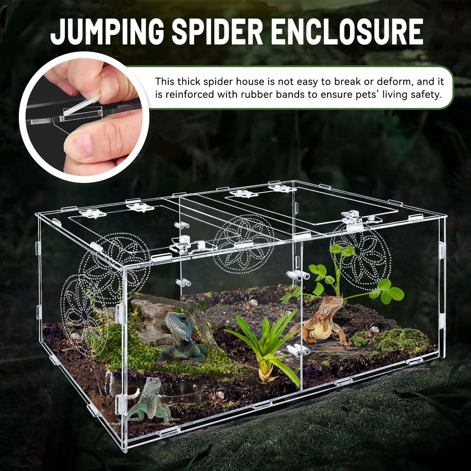 Recinto grande de araña saltadora, caja de tarántula acrílica de 15.7 x 7.8 x 9.85 pulgadas, recinto de reptiles para reptiles que viven en árboles pequeños, anfibios e invertebrados, terrario de