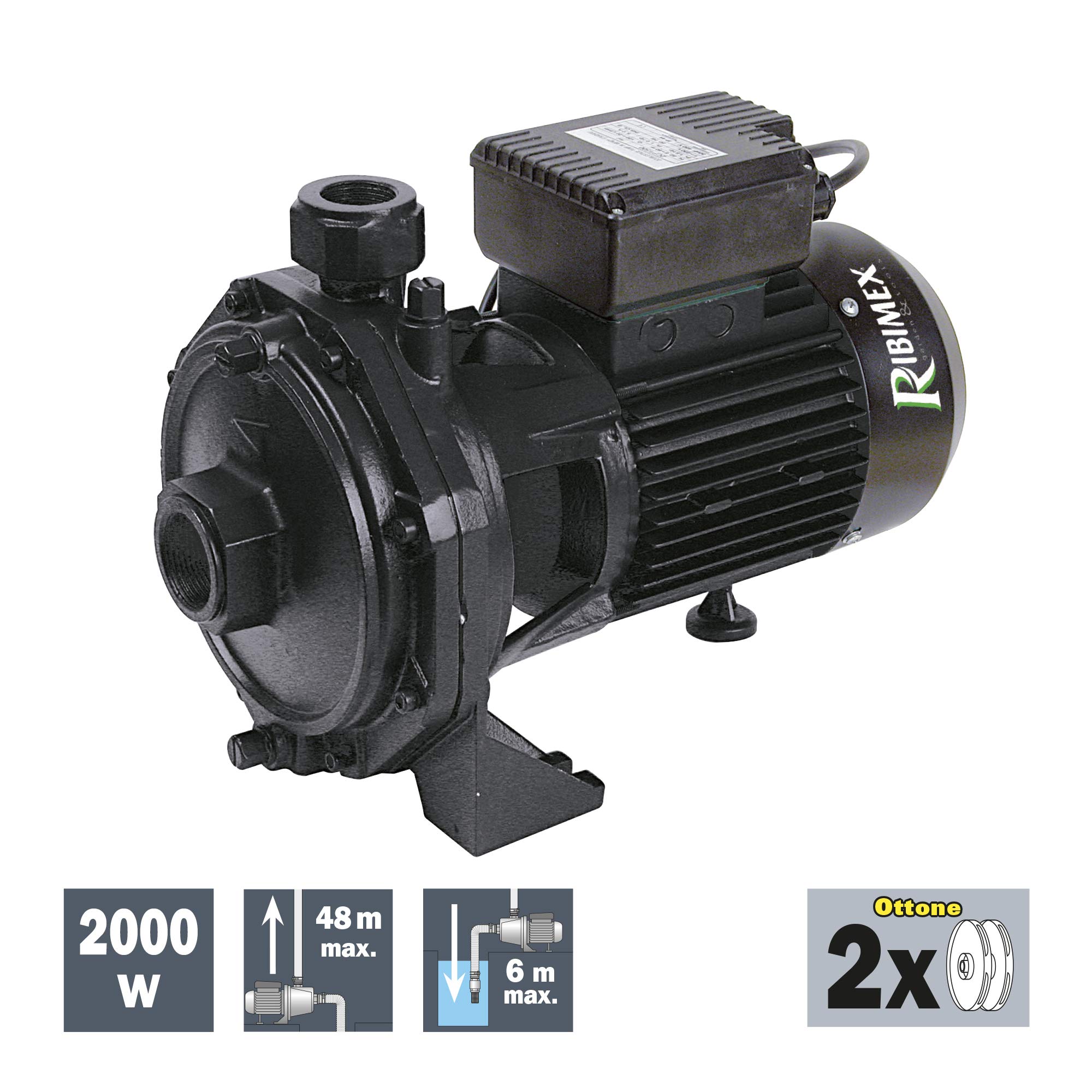 Ribiland PRRBK200 Pompe de Surface, broyeur, 2000 W, Noir, 25 x 28 x 40 cm