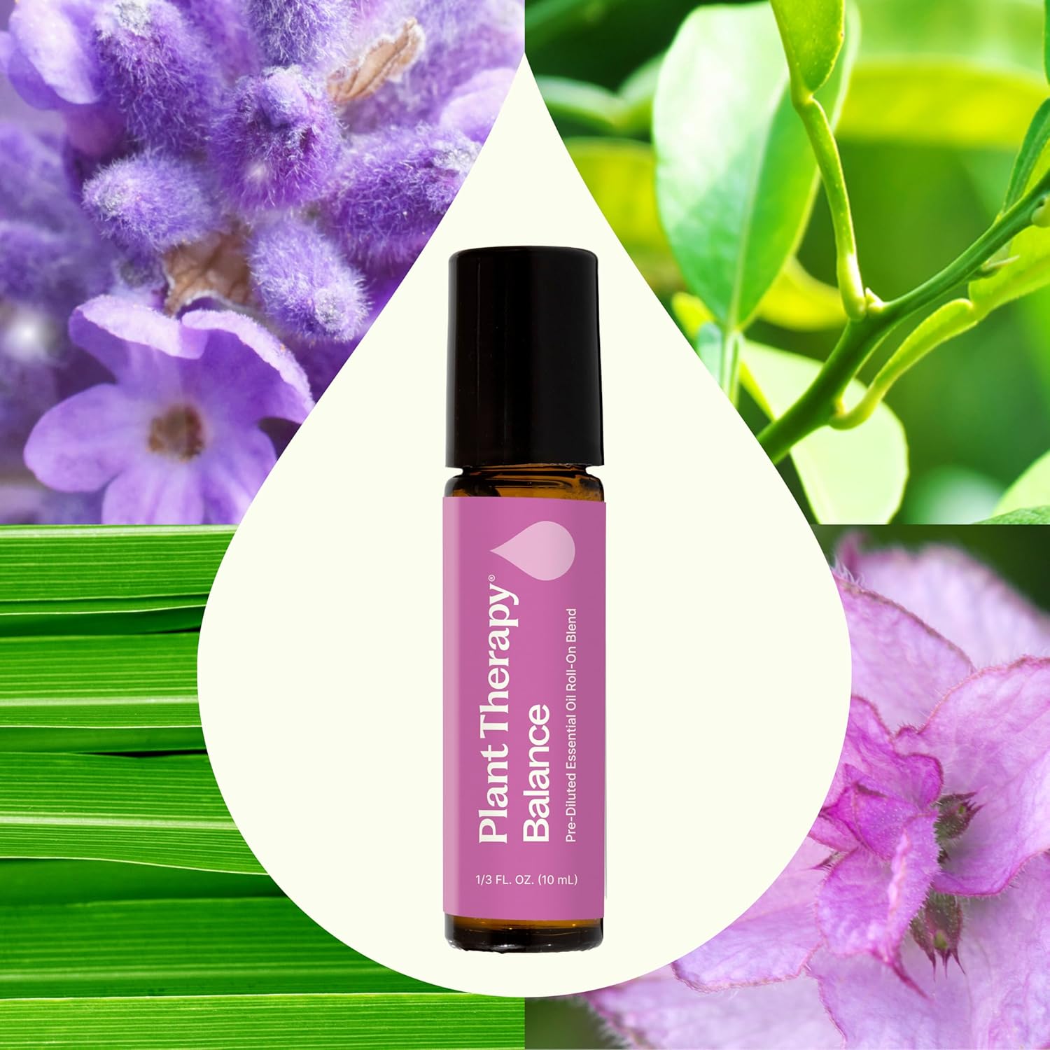 Plant Therapy Balance Essential Oil Blend 10 mL (1/3 oz) Pre-Diluted Roll-On 100% Pure, for Women’s Health and Emotional Support - Image 3