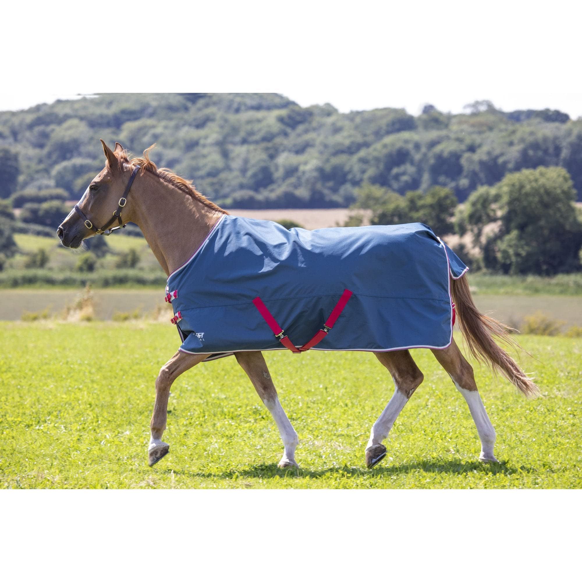 Shires Tempest Original Lite Turnout Rug - Teal 4ft0