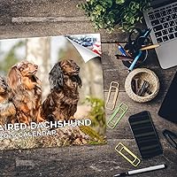 Vista 14 de Razas de Perros 2017