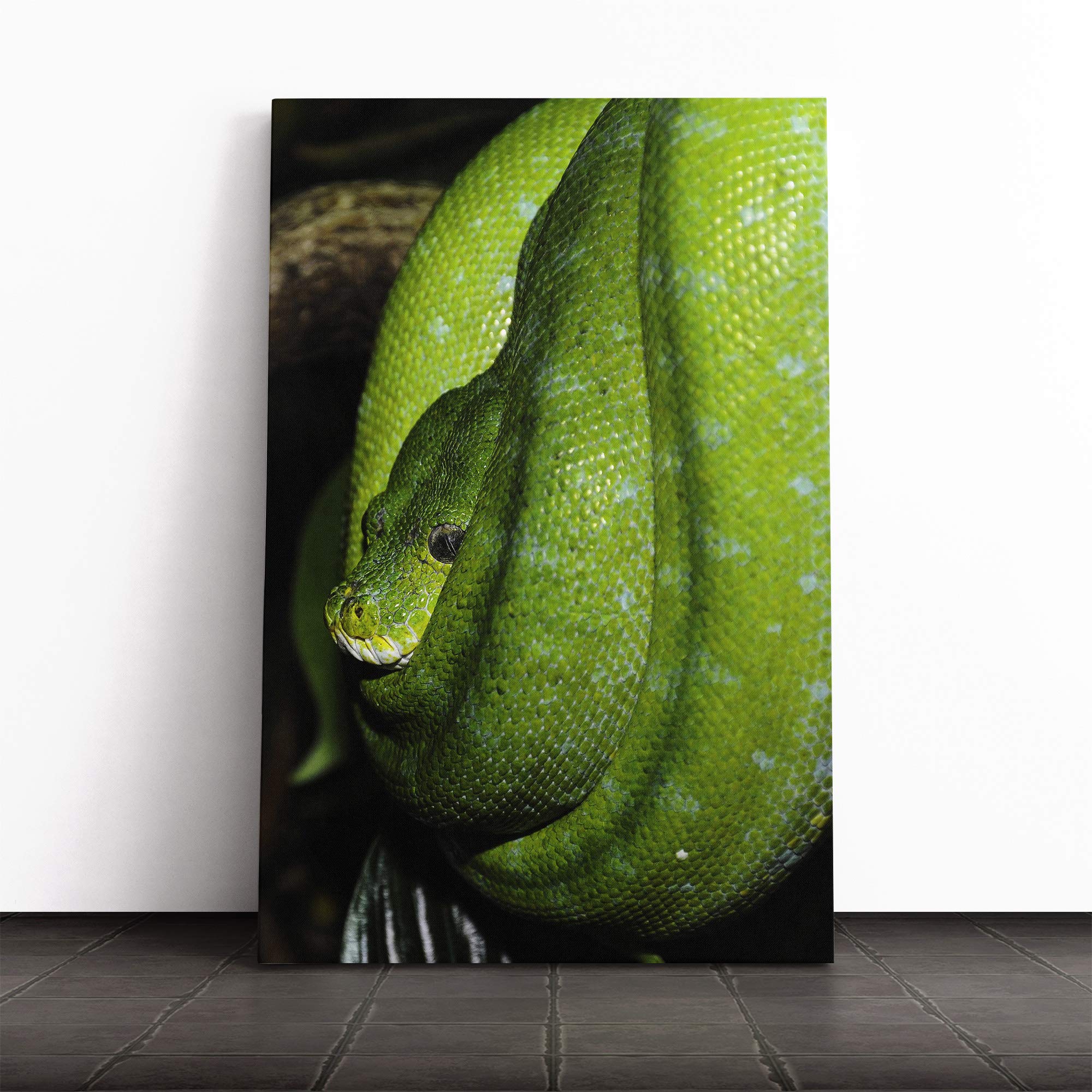 Green Tree Python Snake Vol.4 Canvas Print | Gallery Wrapped 30mm Frame Wall Art | 24x16 inches | Ready to Hang | Modern Animals Picture | Living Room Bedroom Lounge Office