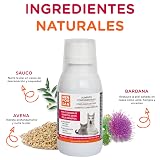 Ver la foto 5