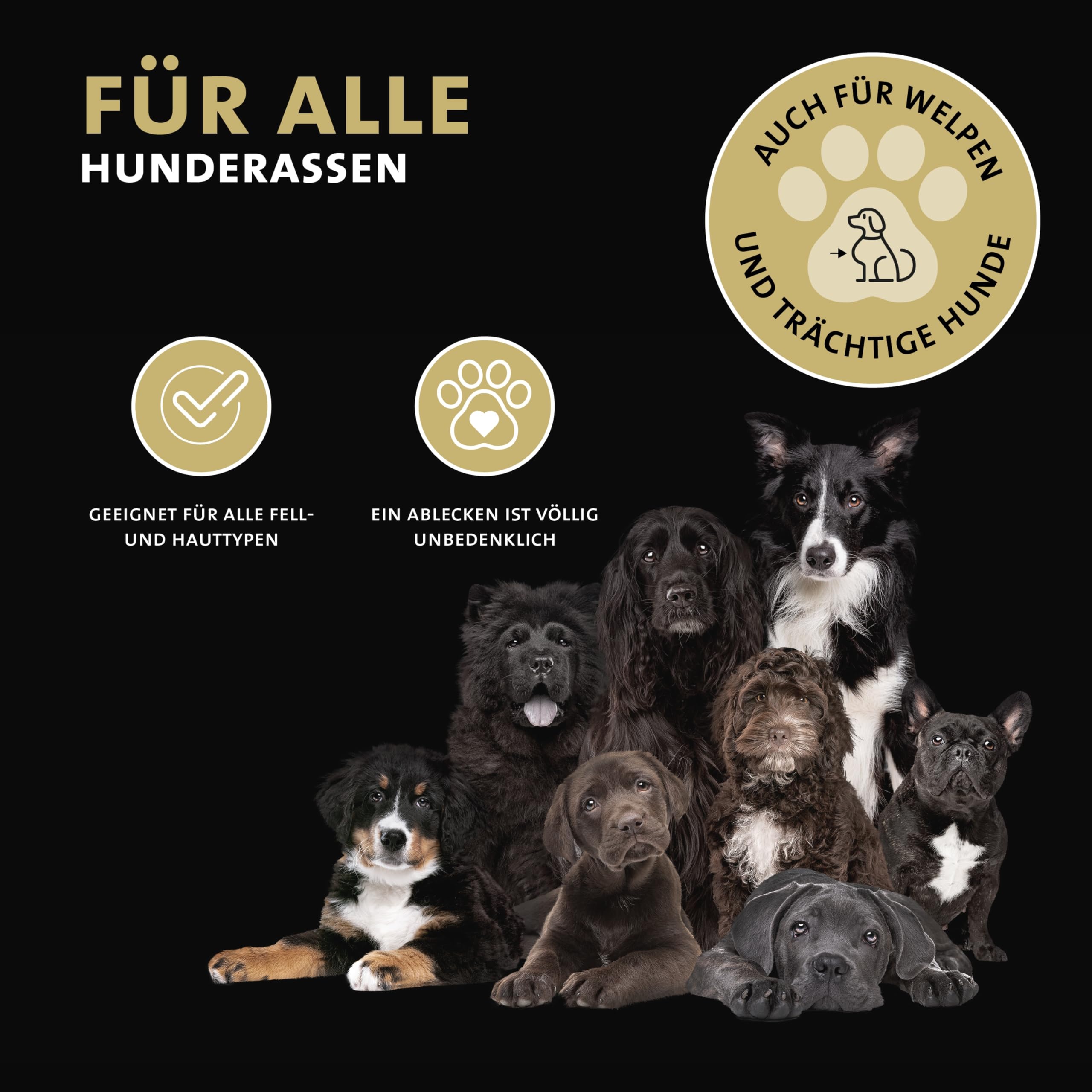 Peticare Anti-Parasiten Mittel für Hunde | gegen Milben, Flöhe, Pilze | lindert effektiv Juckreiz & unterstützt Regenerationsprozess | einzigartiges PRS® System für lange Wirkung – petDog Protect 2101