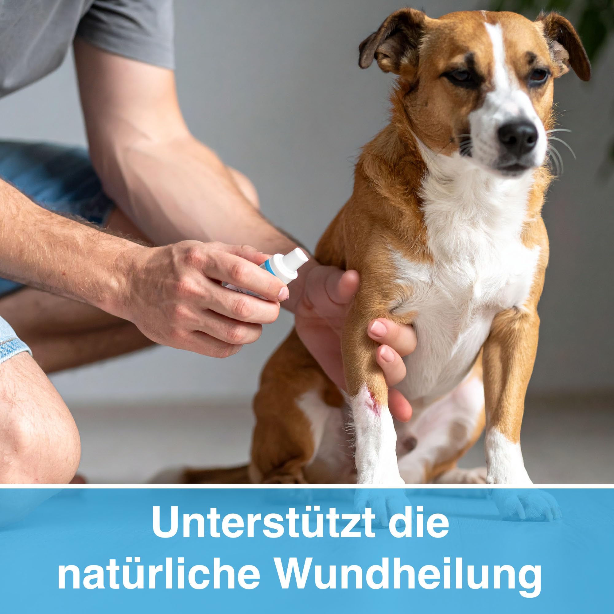 alfavet VulnoCyn Spray 75 ml – Haut- und Wundspray für Hunde, Katzen & Kleinsäuger – gegen Bakterien, Viren & Pilze – ohne Alkohol, hautfreundlich & pH-neutral zur antiseptischen Wundreinigung