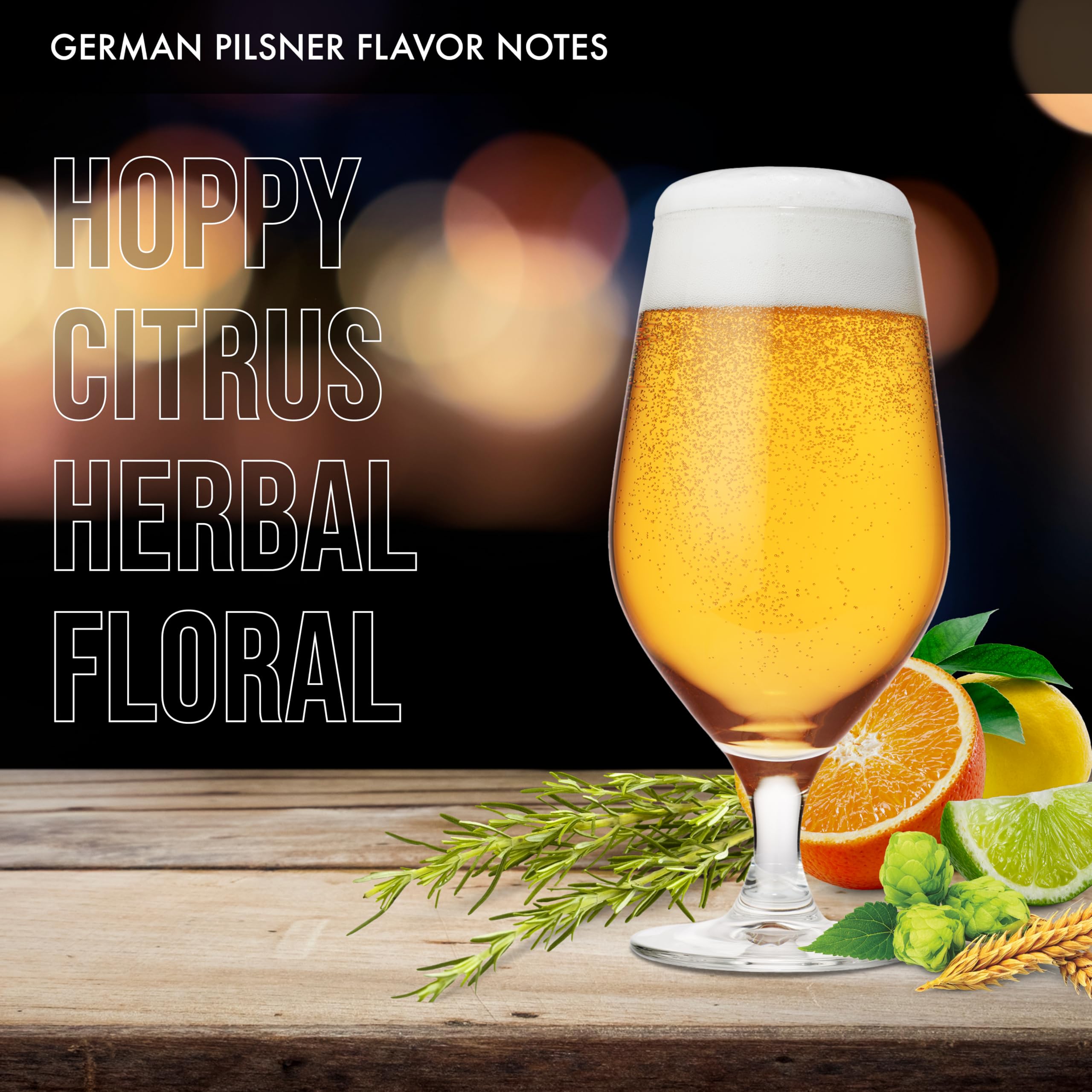 iGulu One Gallon Craft Beer Brew Ingredient Kit (Varies Type) English Porter, German Helles, German Pilsner, Traditional Amber Ale ABV: 5~5.5% vol (Variety Pack, 4 Brew Kit Combo)