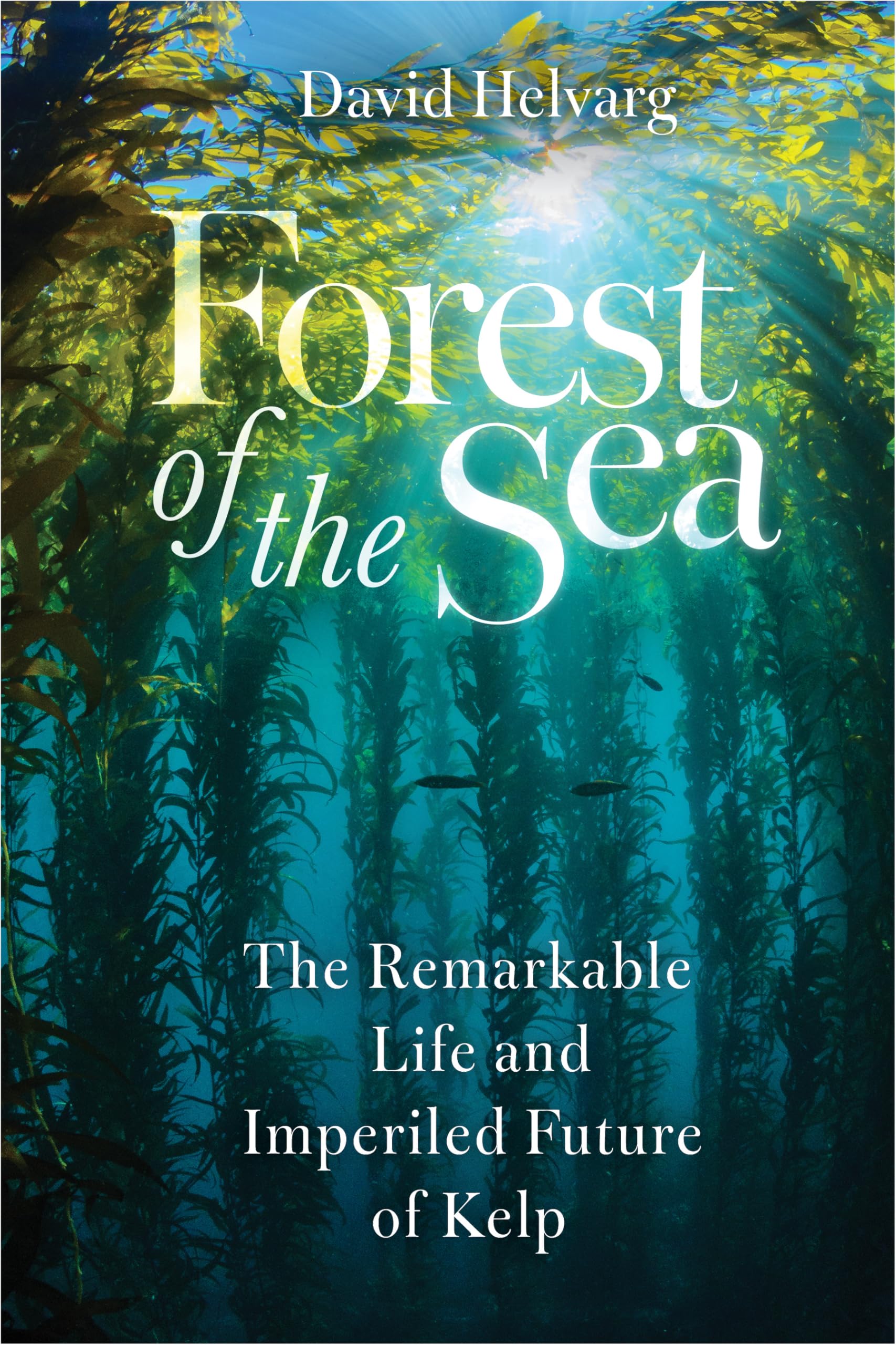 Forest of the Sea by David Helvarg - 9781642833829