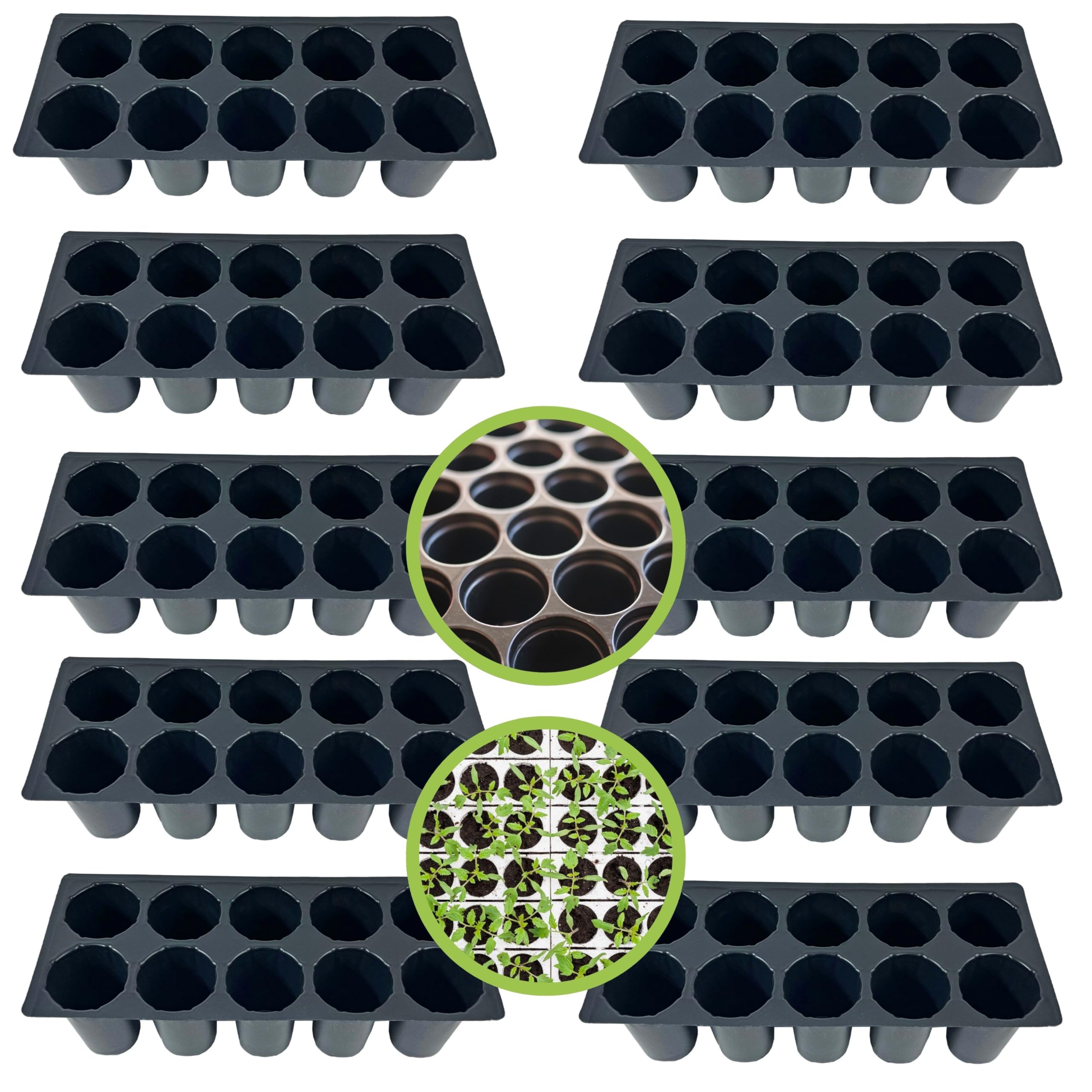 SUSHILA AGROFERT Plastic 10 Cavity Big Size Seed Germination Tray... Black (B0CCVNP17J) Amazon Price History, Amazon Price Tracker