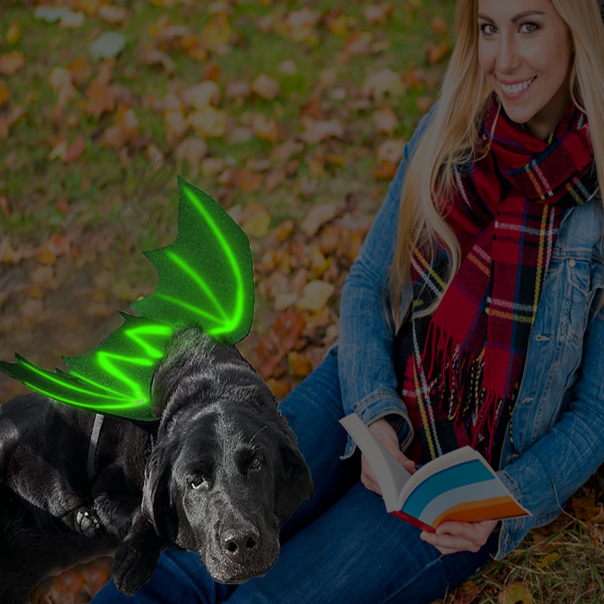LIBNRTY skrzydła nietoperza dla psa, kostium na Halloween dla psa, stopień dużego psa, kostium nietoperza, strój na Halloween, do dekoracji dużych średnich psów na cosplay