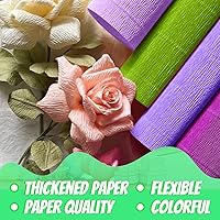 Vista 4 de Papel crepé, 6 rollos de serpentinas de papel crepé de 10 pulgadas x 8 pies, arreglos florales artificiales, kits de fabricación de flores, cinta