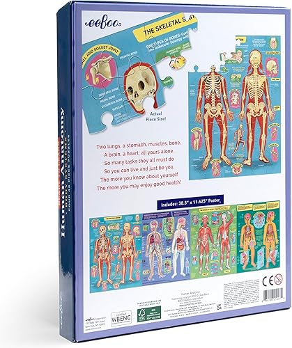 Miniatura 2 de eeBoo: Listo para aprender: 4 rompecabezas de anatomía humana – Sistemas corporales juego de 4 – 48 piezas de rompecabezas, incluye póster