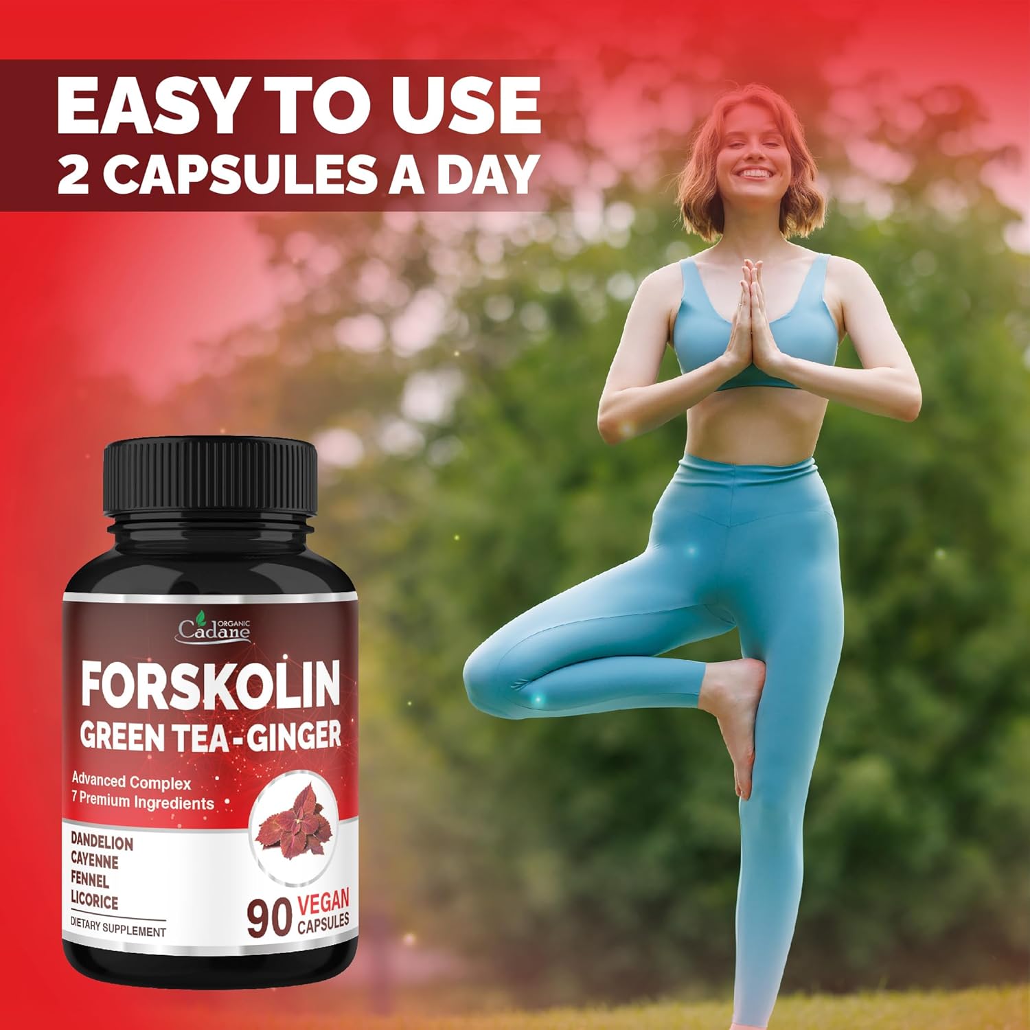 Cadane Forskolin Supplement with Green Tea, Ginger, Dandelion, Cayenne, Fennel, and Licorice| Body Management & Energy Support | Vegan, Non-GMO – 90 Capsules – 45-Day Supply - Image 6
