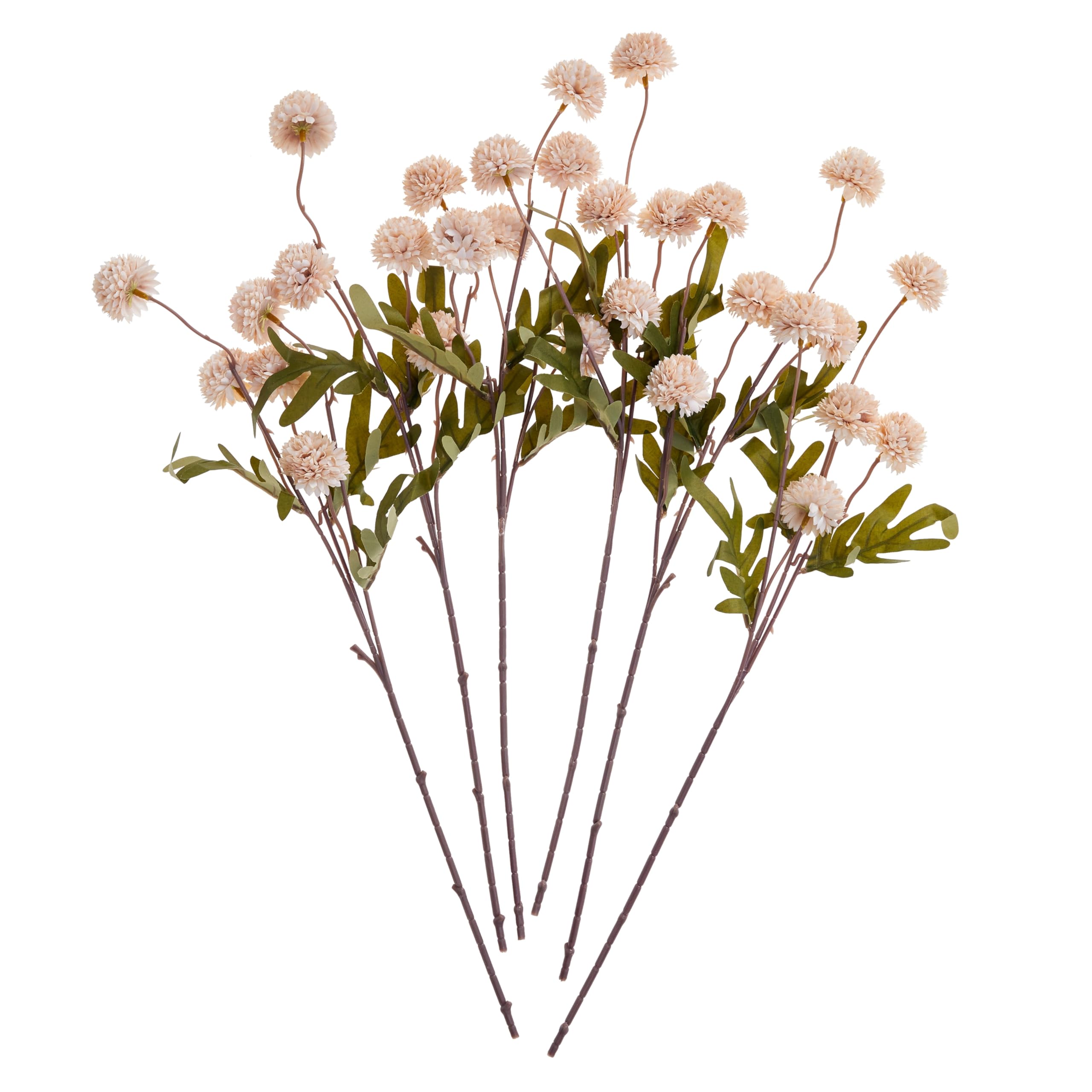 View 7