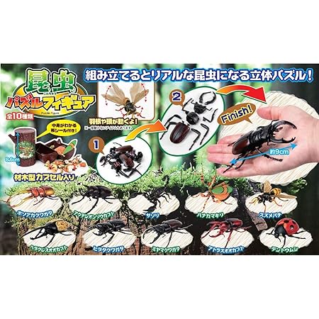Amazon 超リアル ビッグ 昆虫 パズル フィギュア 全10種 セット 甲虫 ミヤマクワガタ 虫 ムシ カブトムシ クワガタムシ クワガタ ハチ テントウムシ サソリ 立体パズル おもちゃ