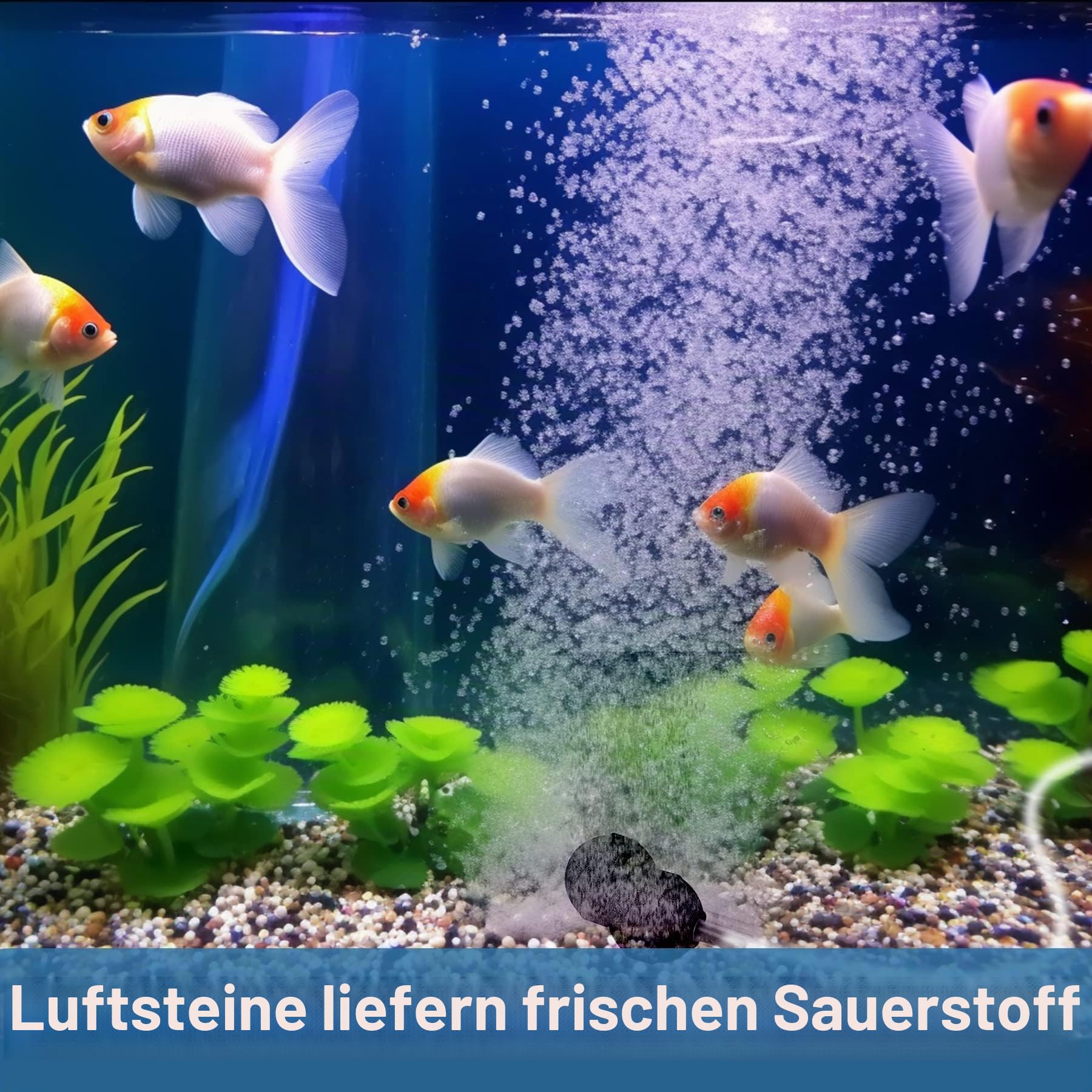 Solar Sauerstoffpumpe, 2,5 W Solarbelüfter für Teich mit 1800 mAh Batterie-Backup, 3 Modi Sauerstoffpumpe, Hydrokultur-Luftpumpe, geeignet für Outdoor-Angeln, Teiche, Aquarien