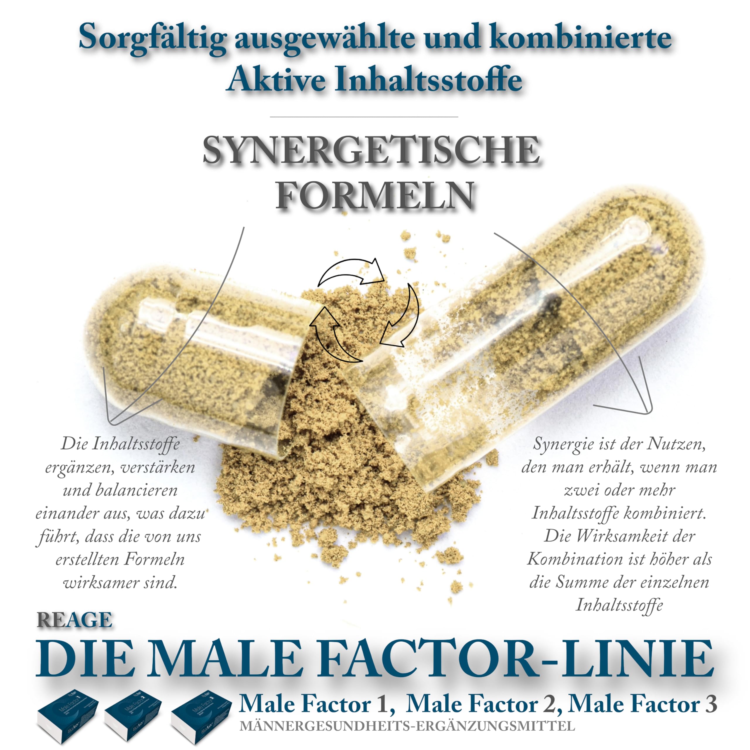 Male Factor 1 für MÄNNER | ZINK und SELEN | 100% natürliche Inhaltsstoffe | Für Muskelwachstum, Kraft & Energie | 60 Kapseln ReAge