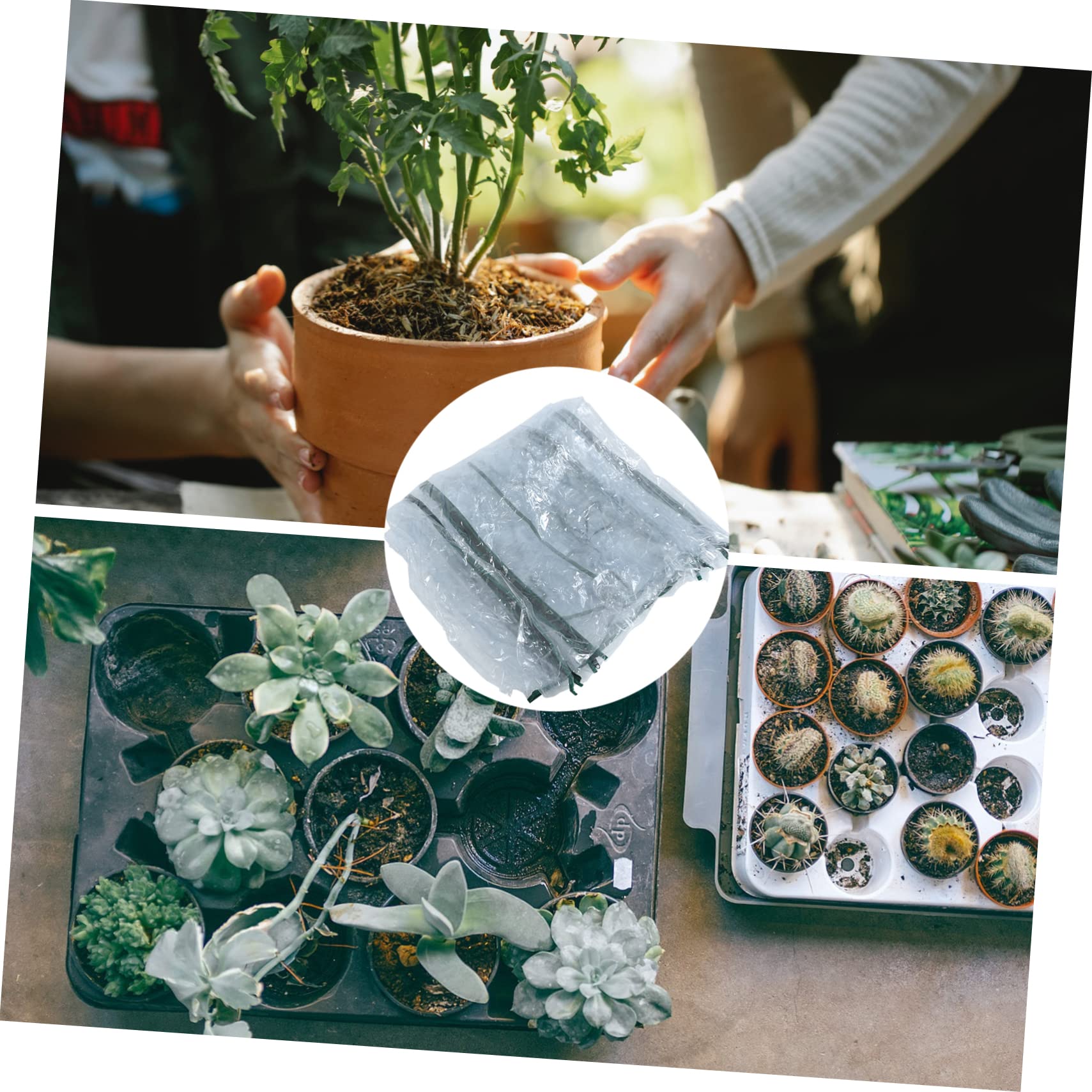 1pezzi Telo per Serra Copertura Protettiva per Piante Design e Resistente Facile da Conservare e Riutilizzare Adatto per Giardini e Terrazzi