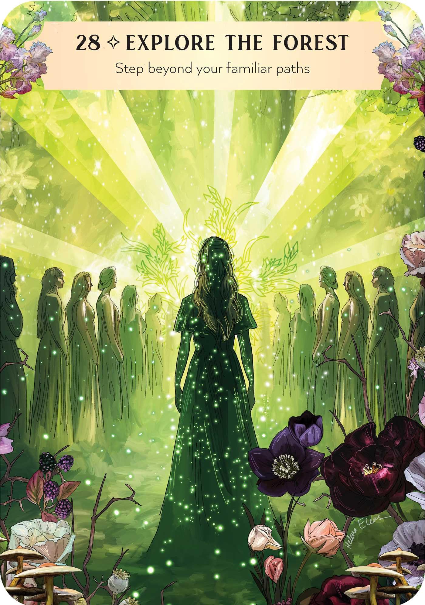 Friendship Oracle: Celebrating connections (Rockpool Oracle)