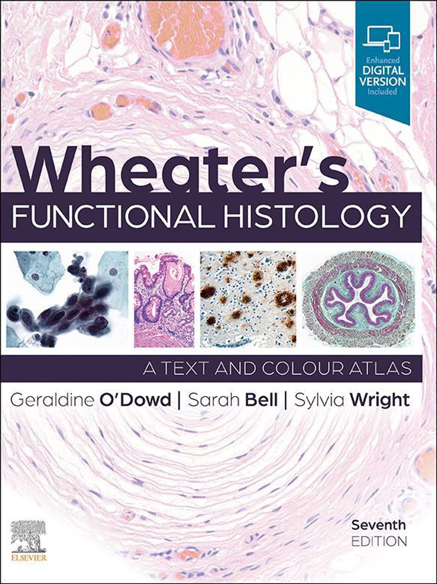 Wheater's Functional Histology, E-Book: A Text and Colour Atlas