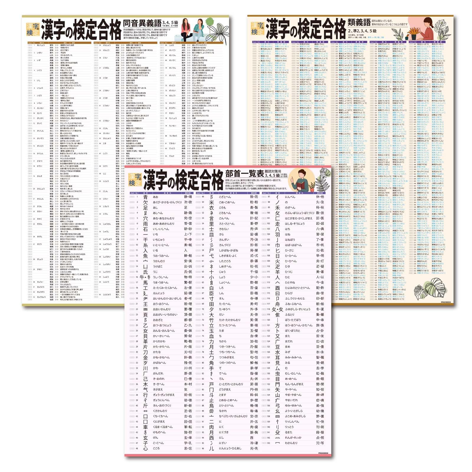 Amazon.co.jp: proceedx 3231 学習ポスター漢字の検定合格,同音異義語
