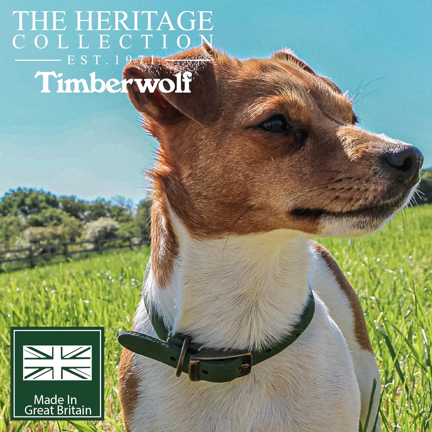 Ancol Timberwolf Round Leather Collar Green 28-36cm Size 3