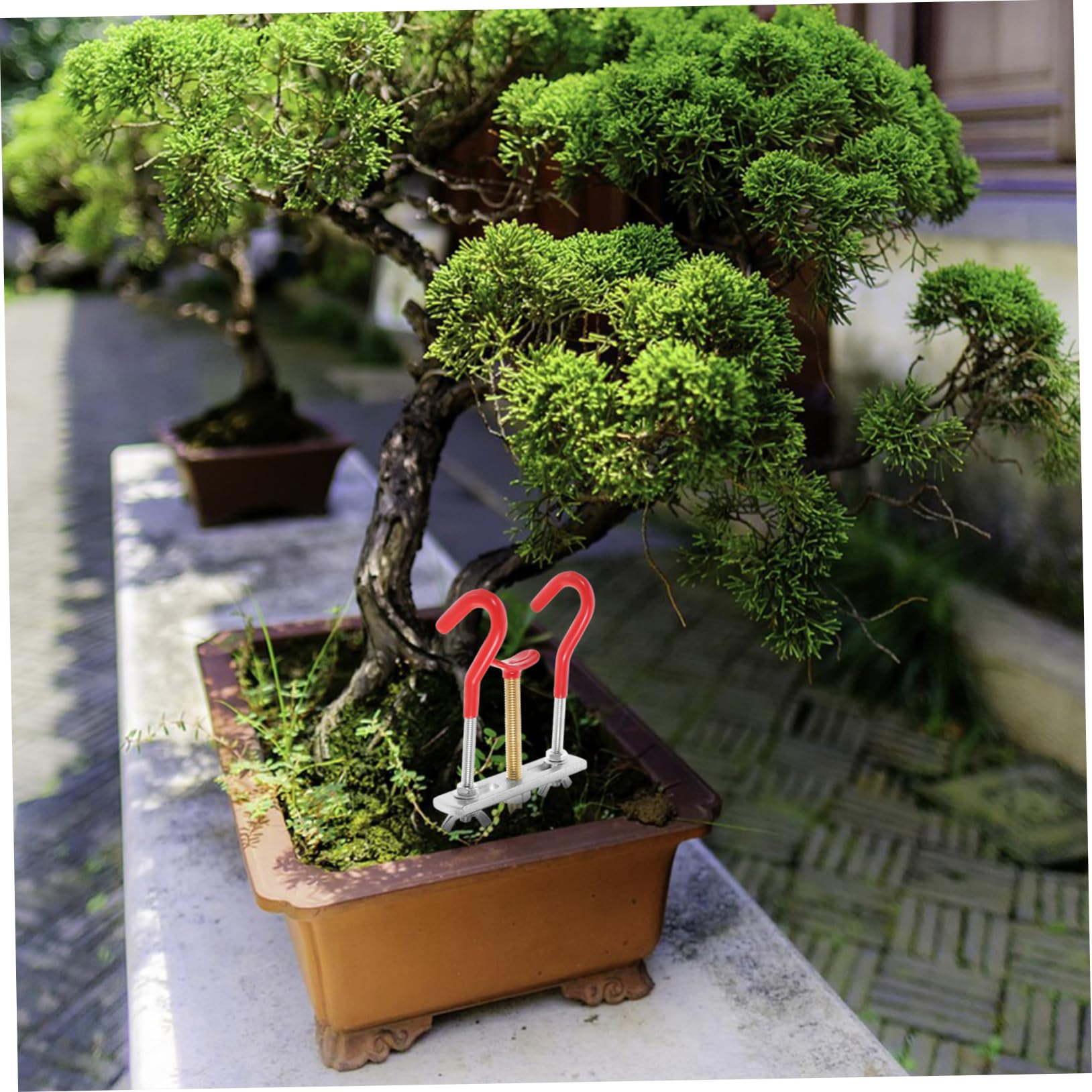 Sosoport 3 Stück Abzweigeinsteller Bonsai-Draht Bonsai-Drähte Bonsai-Werkzeugkasten Bonsai-Baum-Kit Bonsaibaum Bausatz Bonsai-Werkzeug für den Garten Bonsai-Biegewerkzeuge Astschere Metall