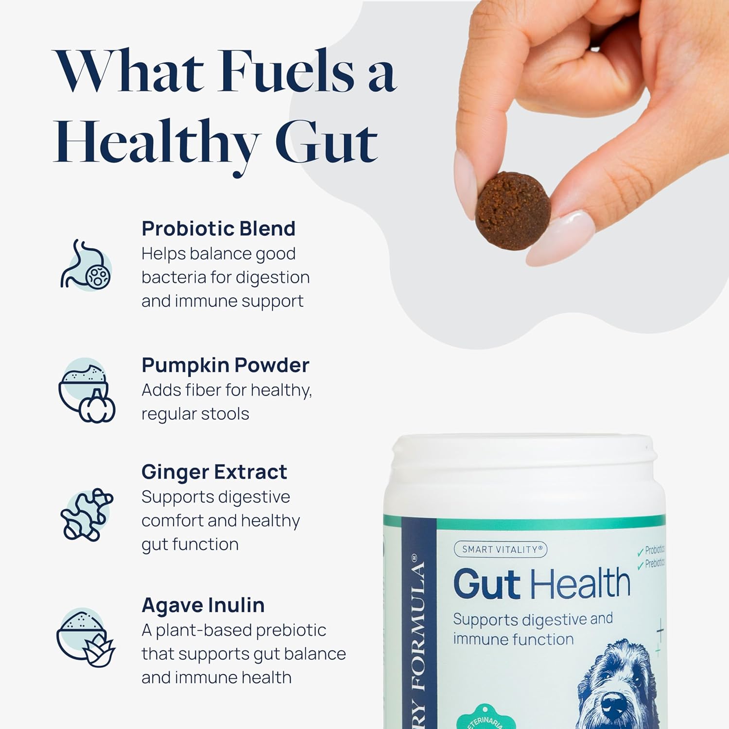 Veterinary Formula Gut Health Supplement for Dogs – Vet-Formulated Probiotic Chews with Digestive Enzymes & Fiber – Smart Vitality Support Digestive Health, Gut Balance & Stool Quality, 120 Soft Chews