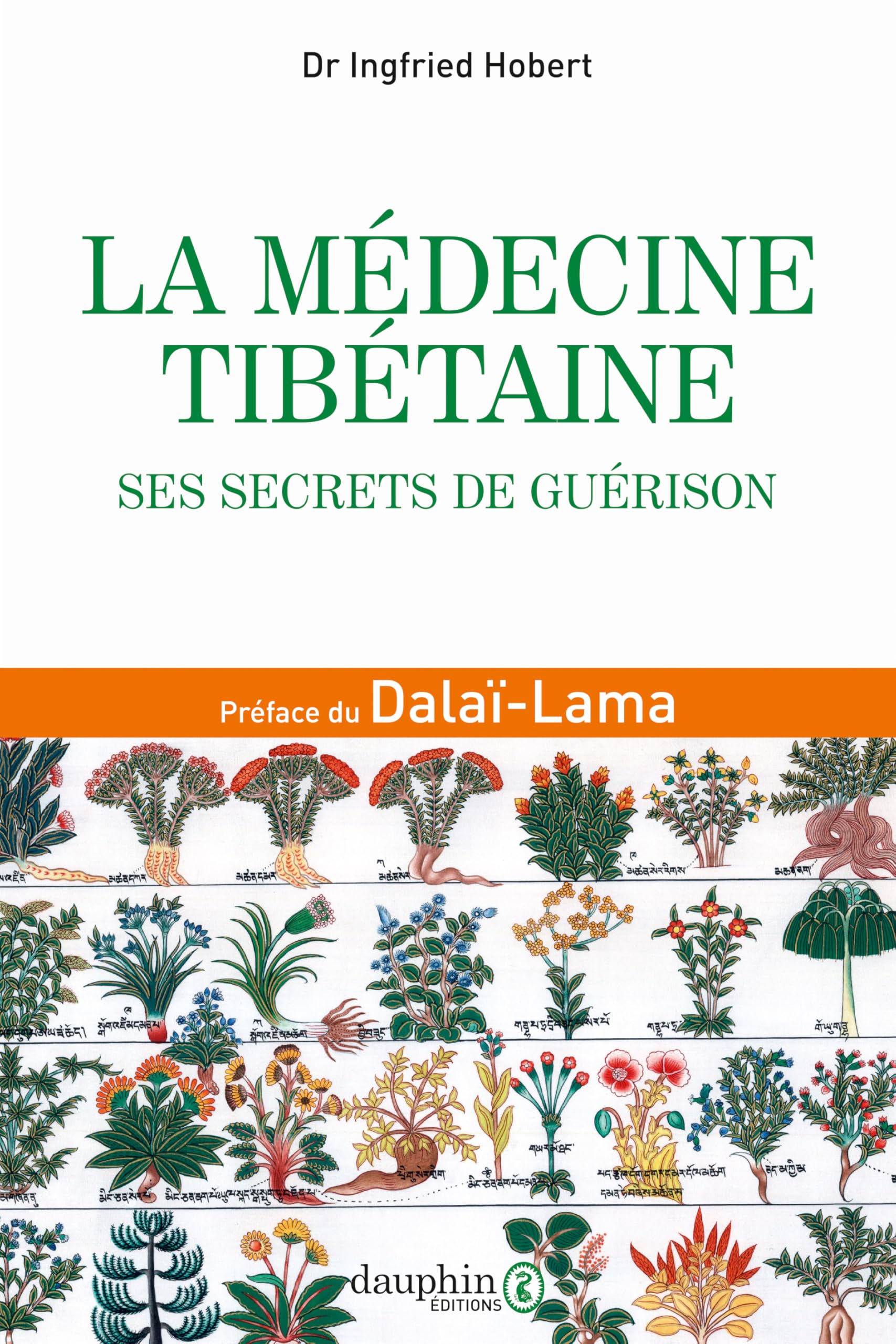 La médecine tibétaine: Ses secrets de guérison