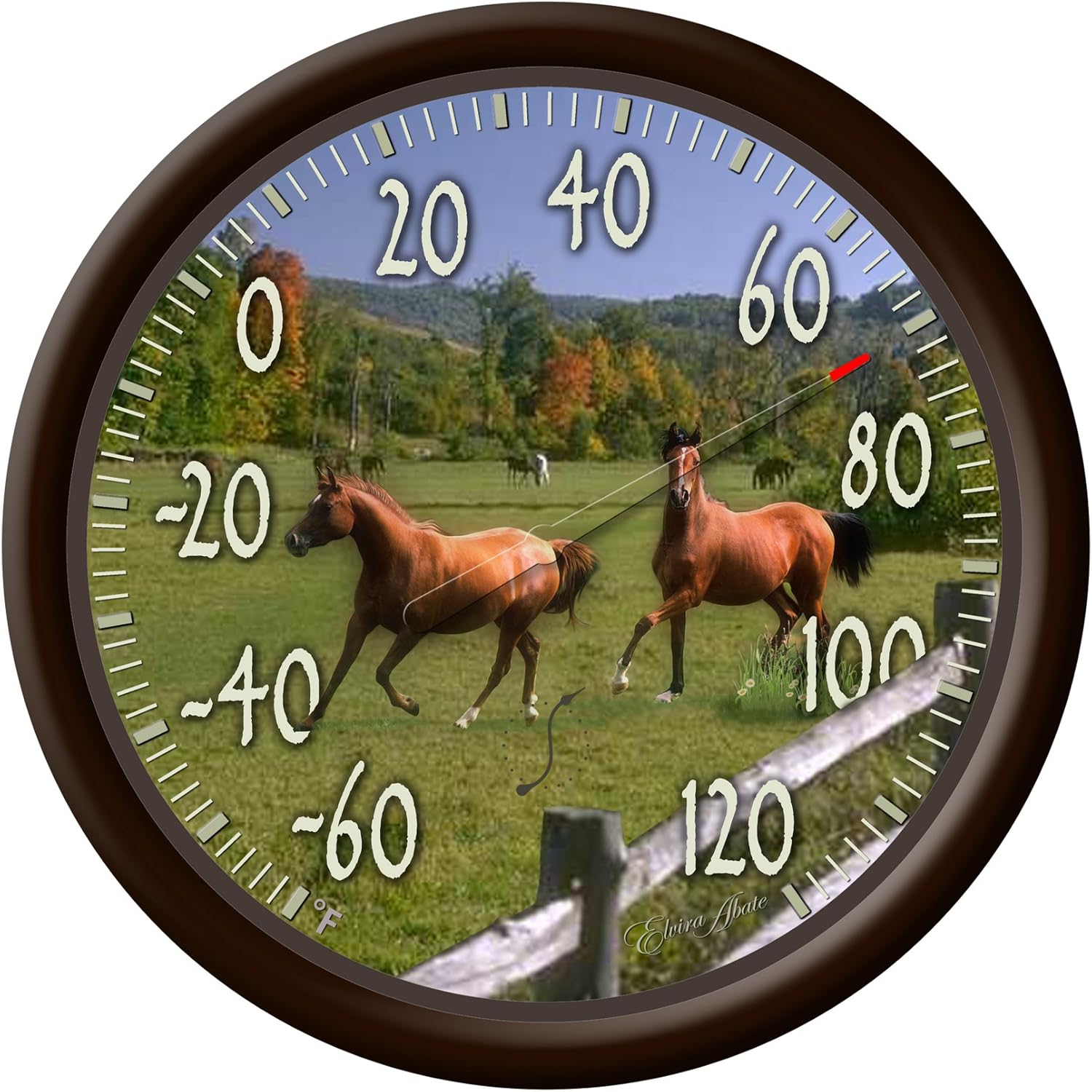 Taylor Precision Products Springfield Outdoor Thermometer