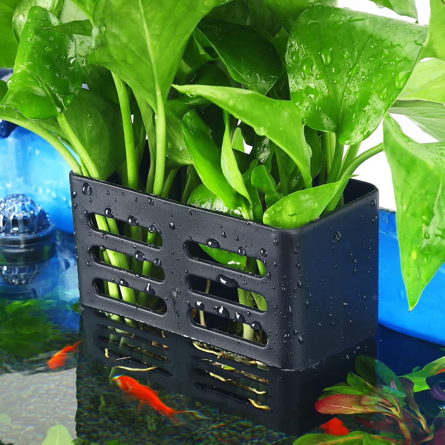 Upgraded Double Hole Aquarium Plant Holder with Hooks and Suction Cups